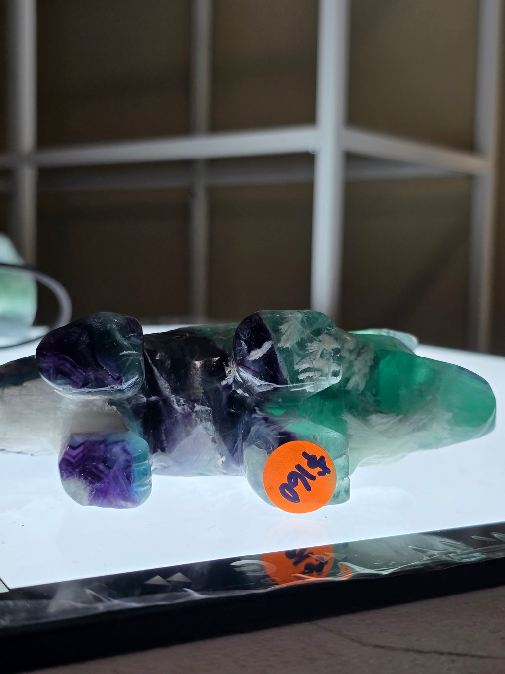 Feather Fluorite Triceratops