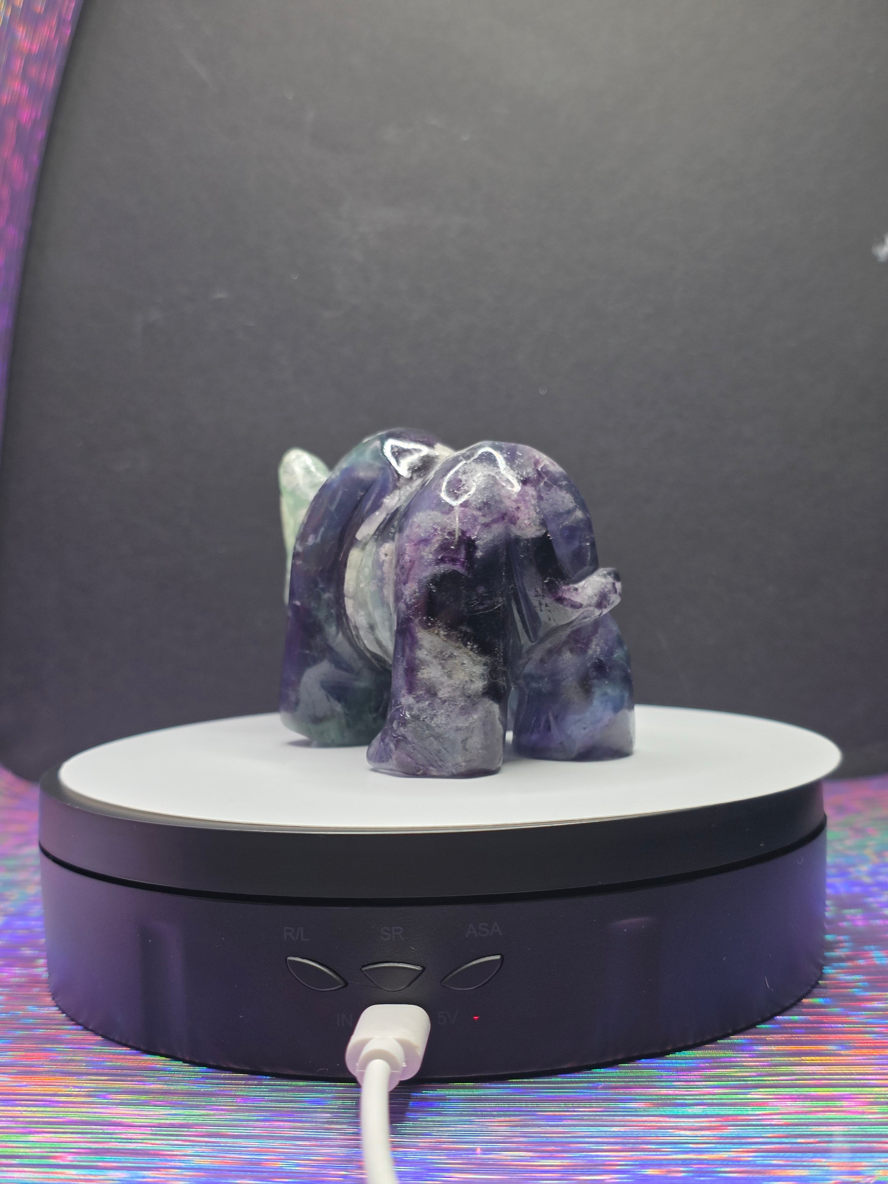 Fluorite Rhino