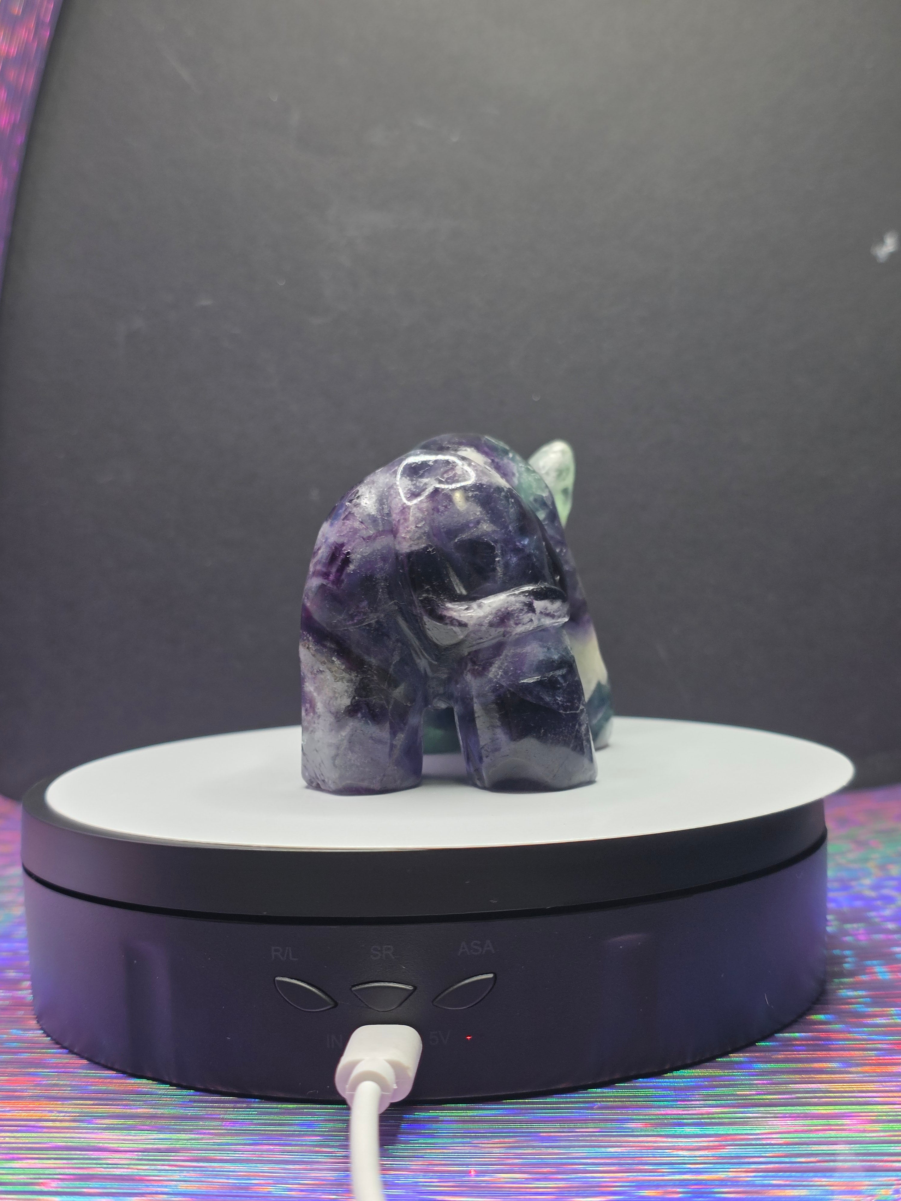 Fluorite Rhino