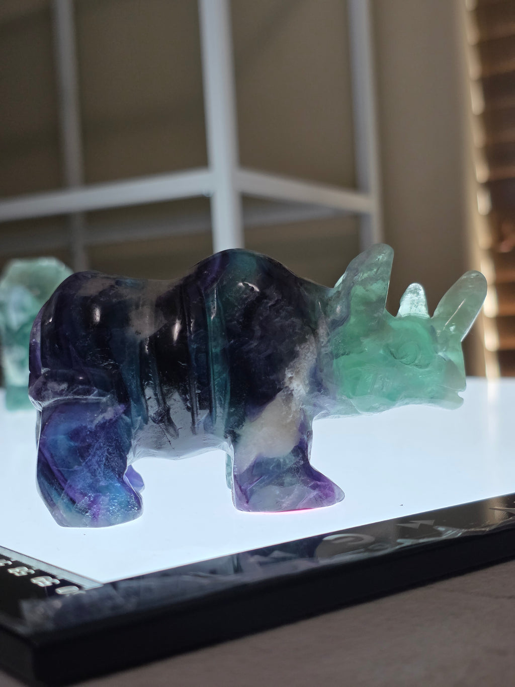 Fluorite Rhino