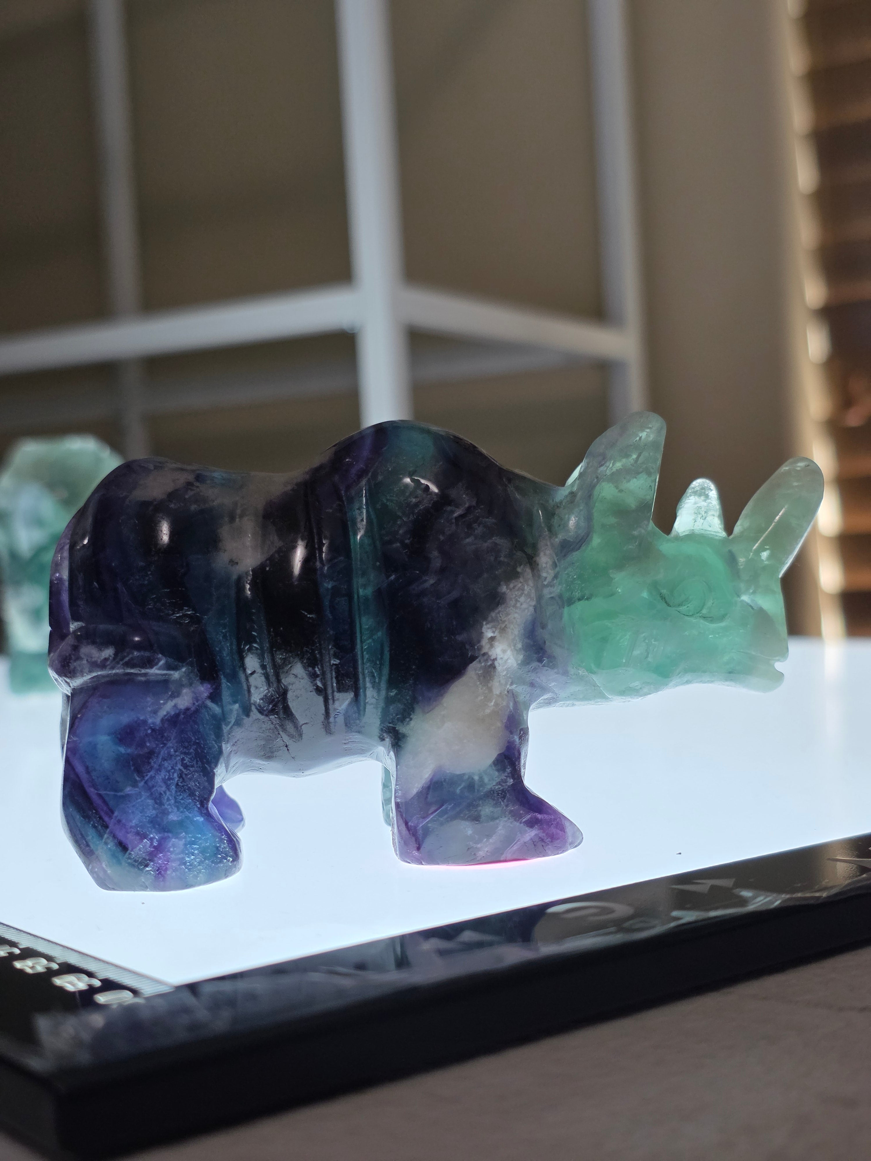 Fluorite Rhino