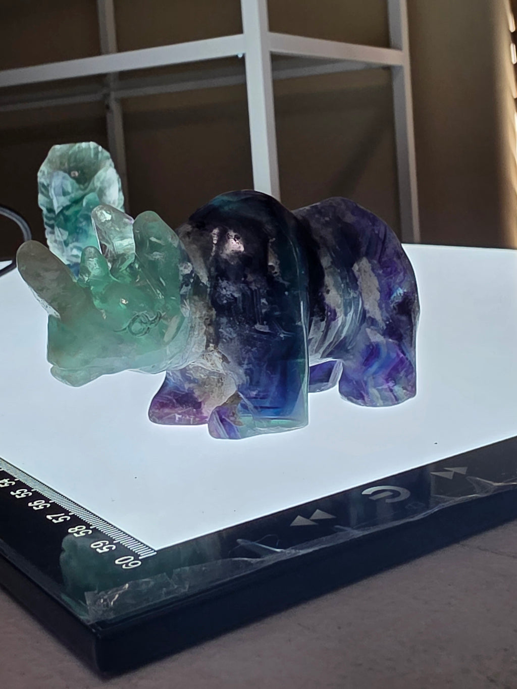 Fluorite Rhino