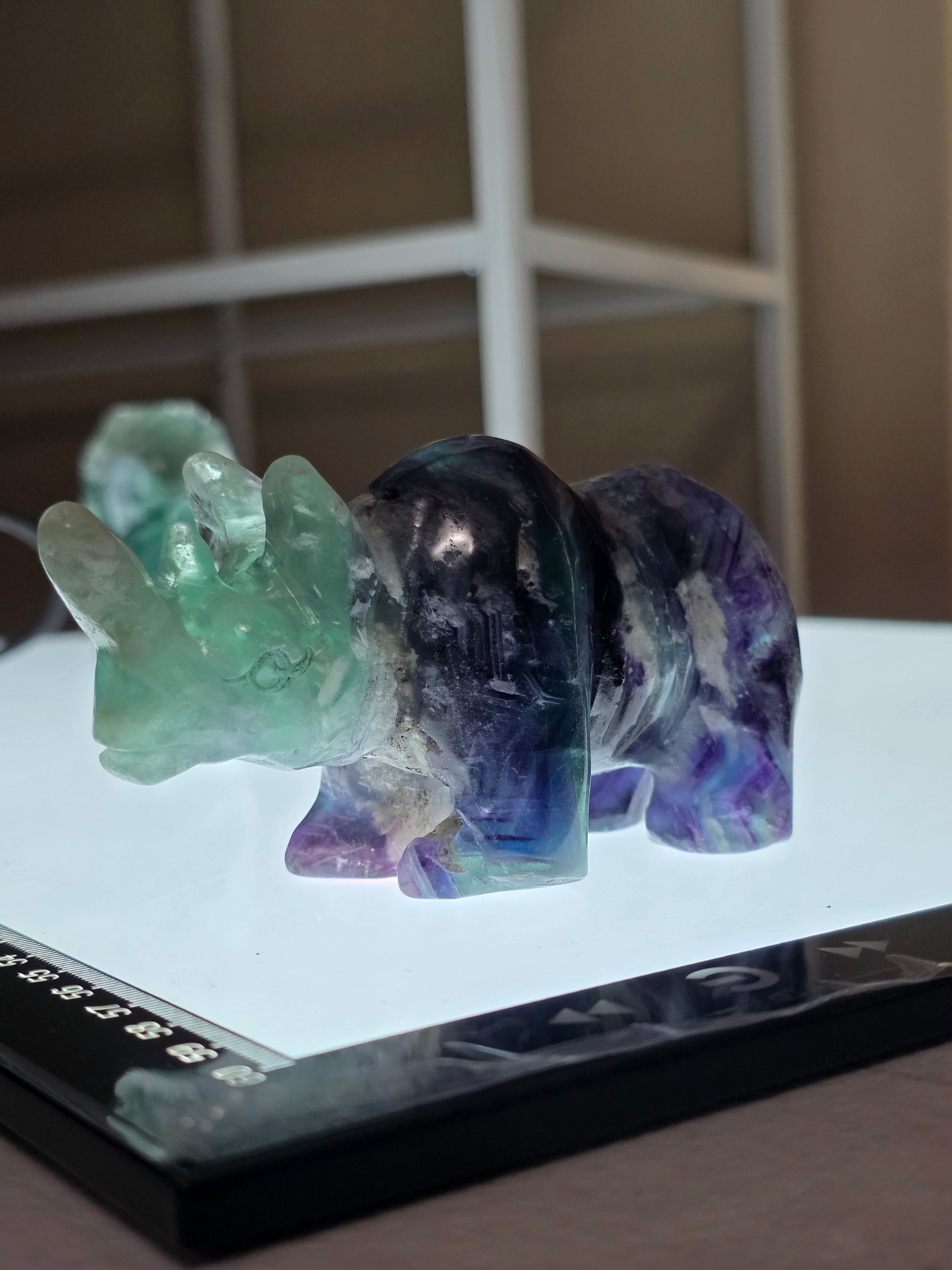 Fluorite Rhino