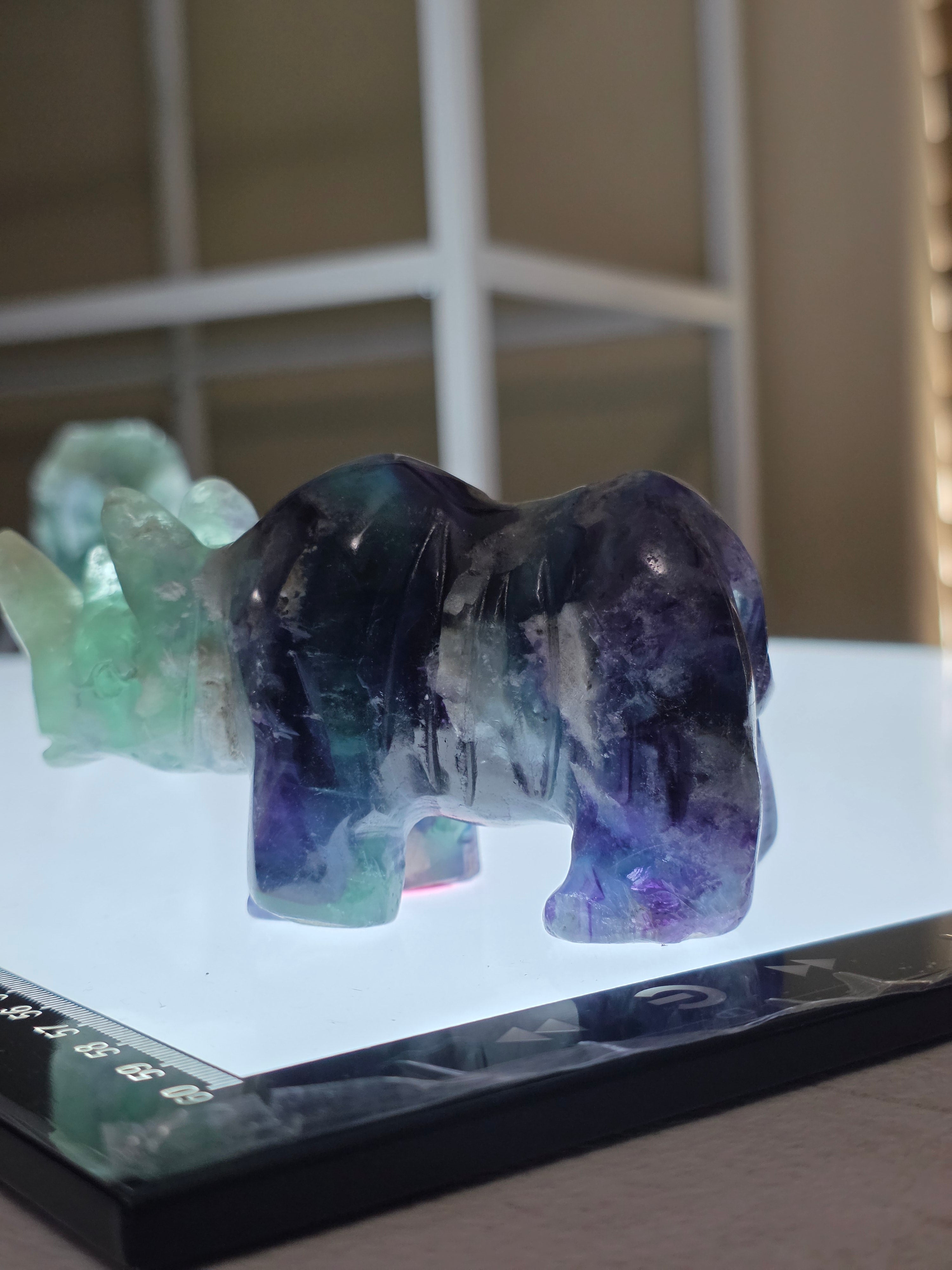 Fluorite Rhino