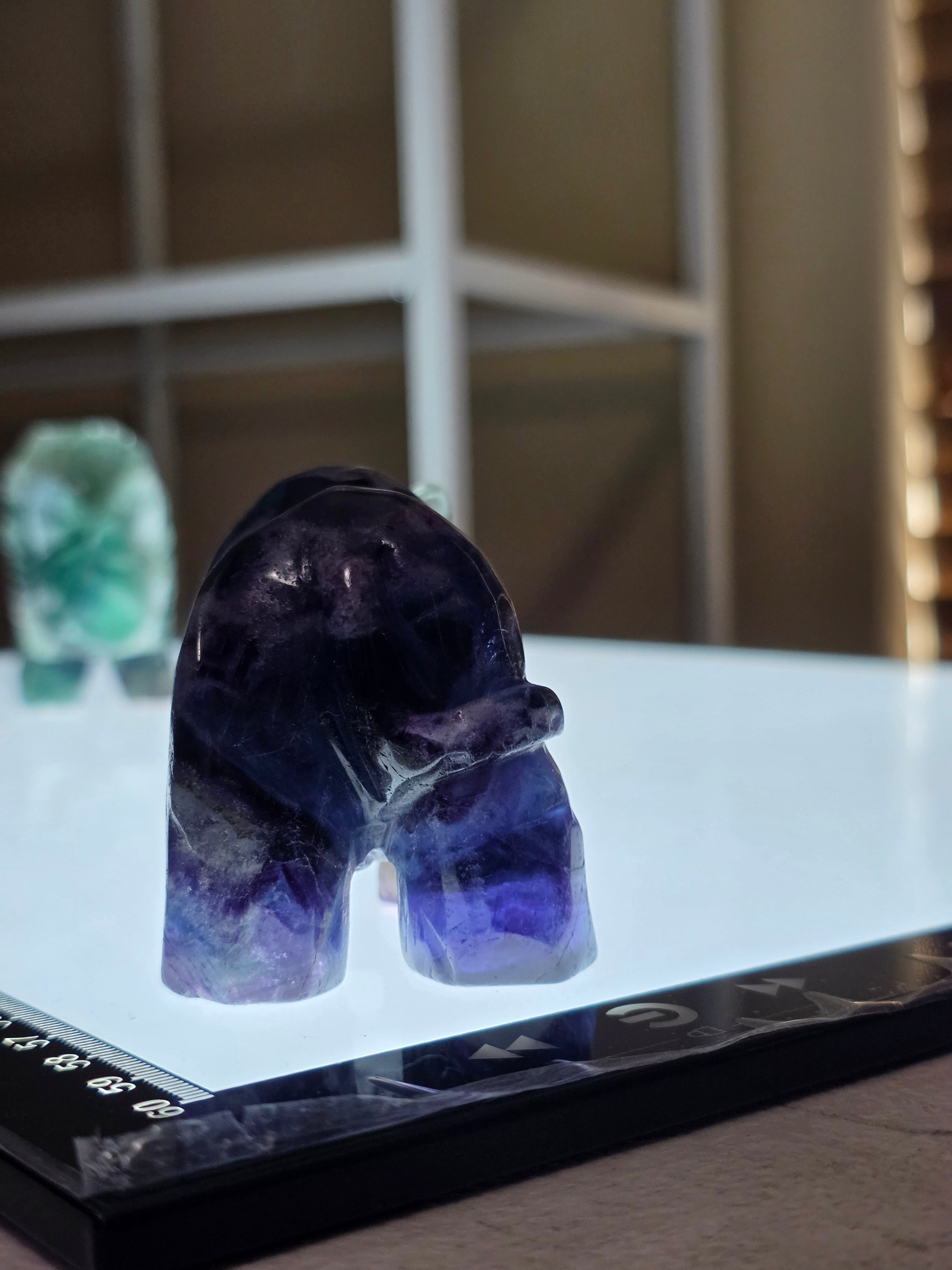 Fluorite Rhino