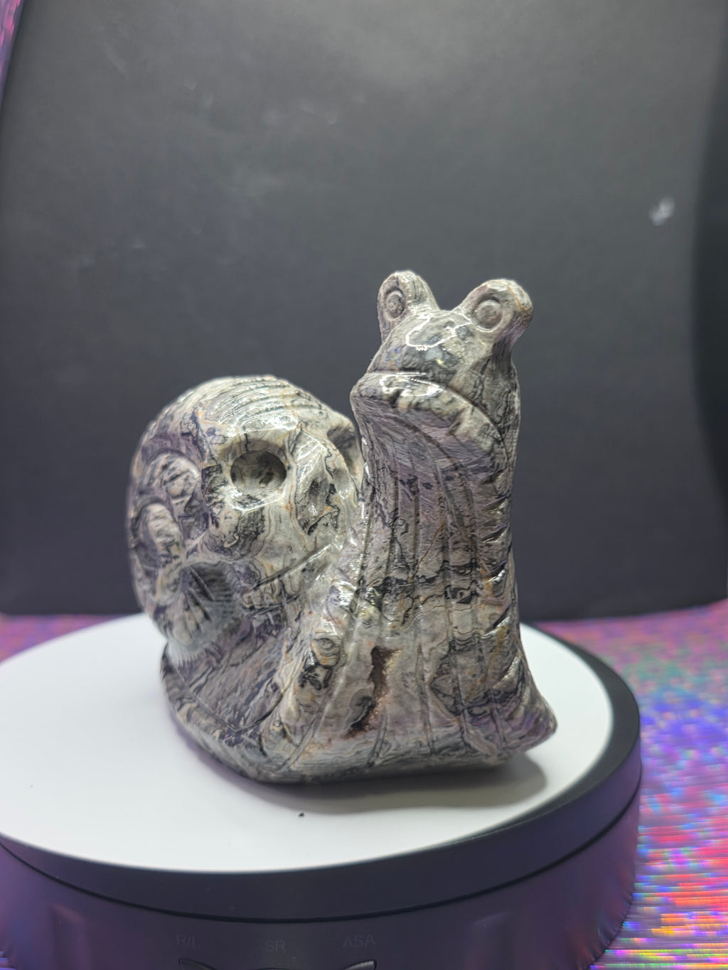 Picture Jasper Snail with Skull Shell