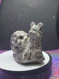 Picture Jasper Snail with Skull Shell
