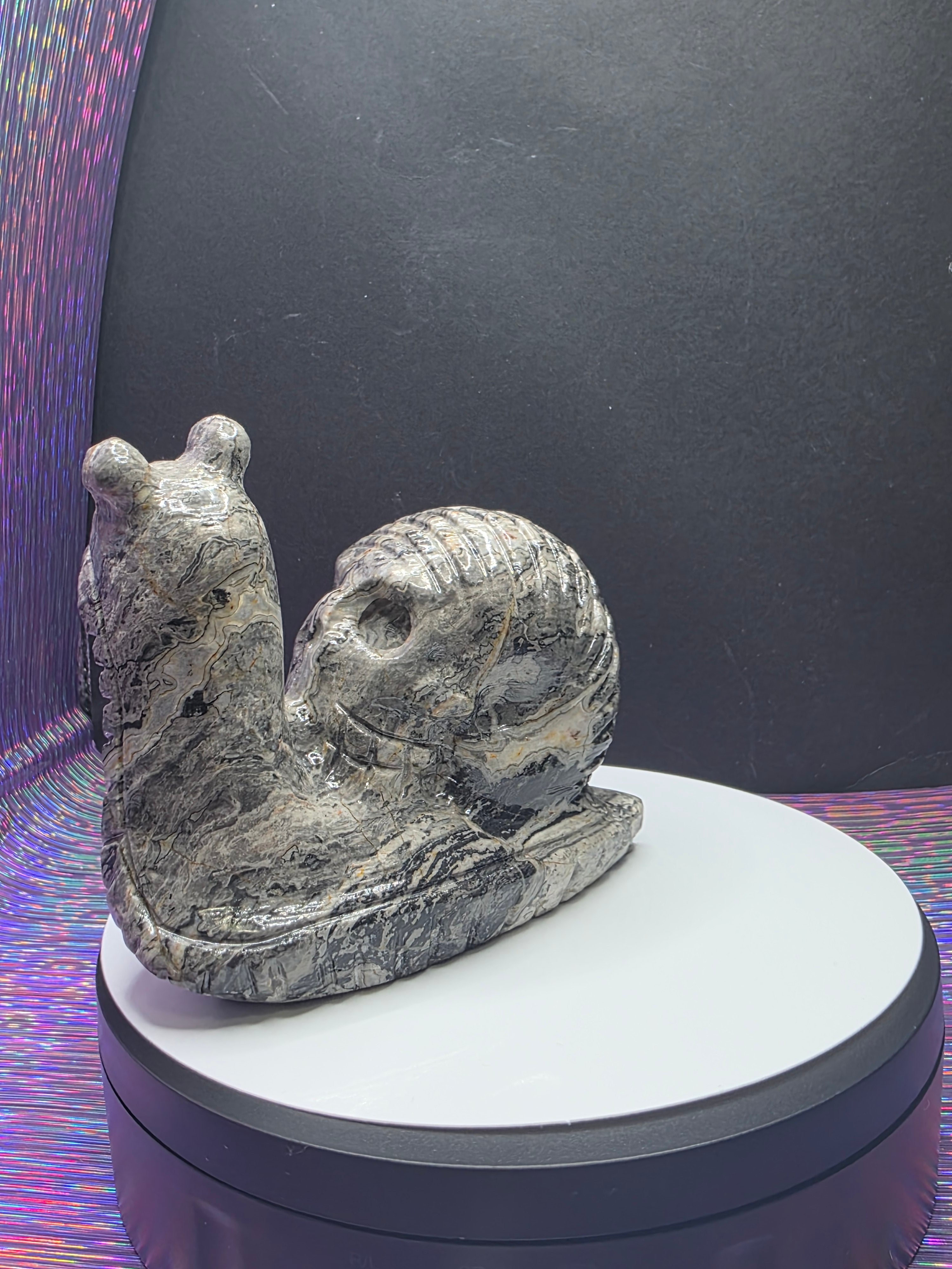 Picture Jasper Snail with Skull Shell