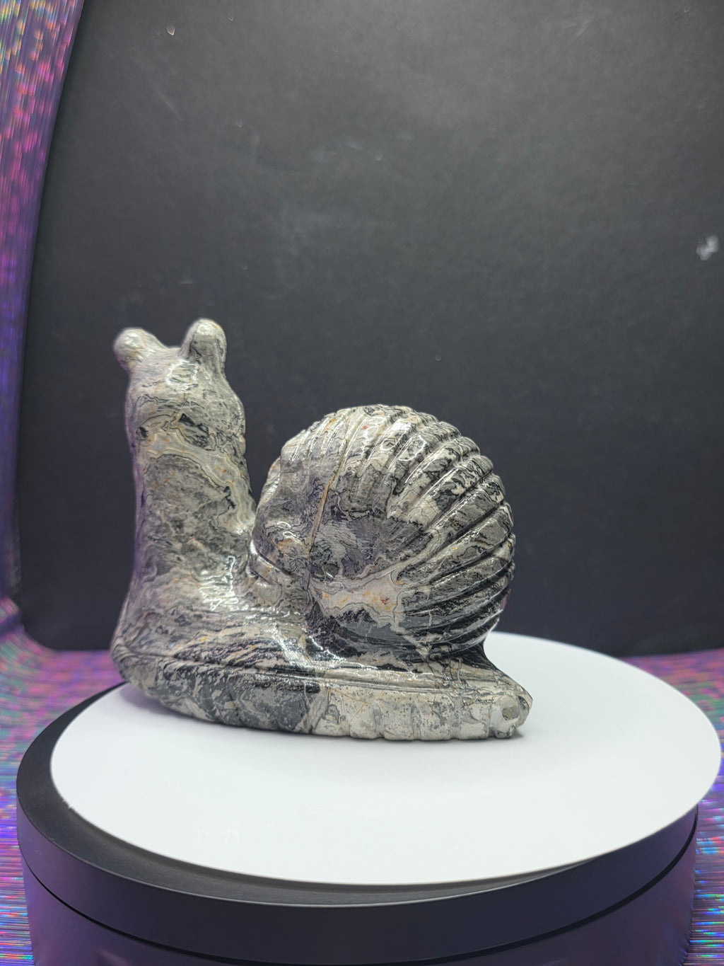 Picture Jasper Snail with Skull Shell