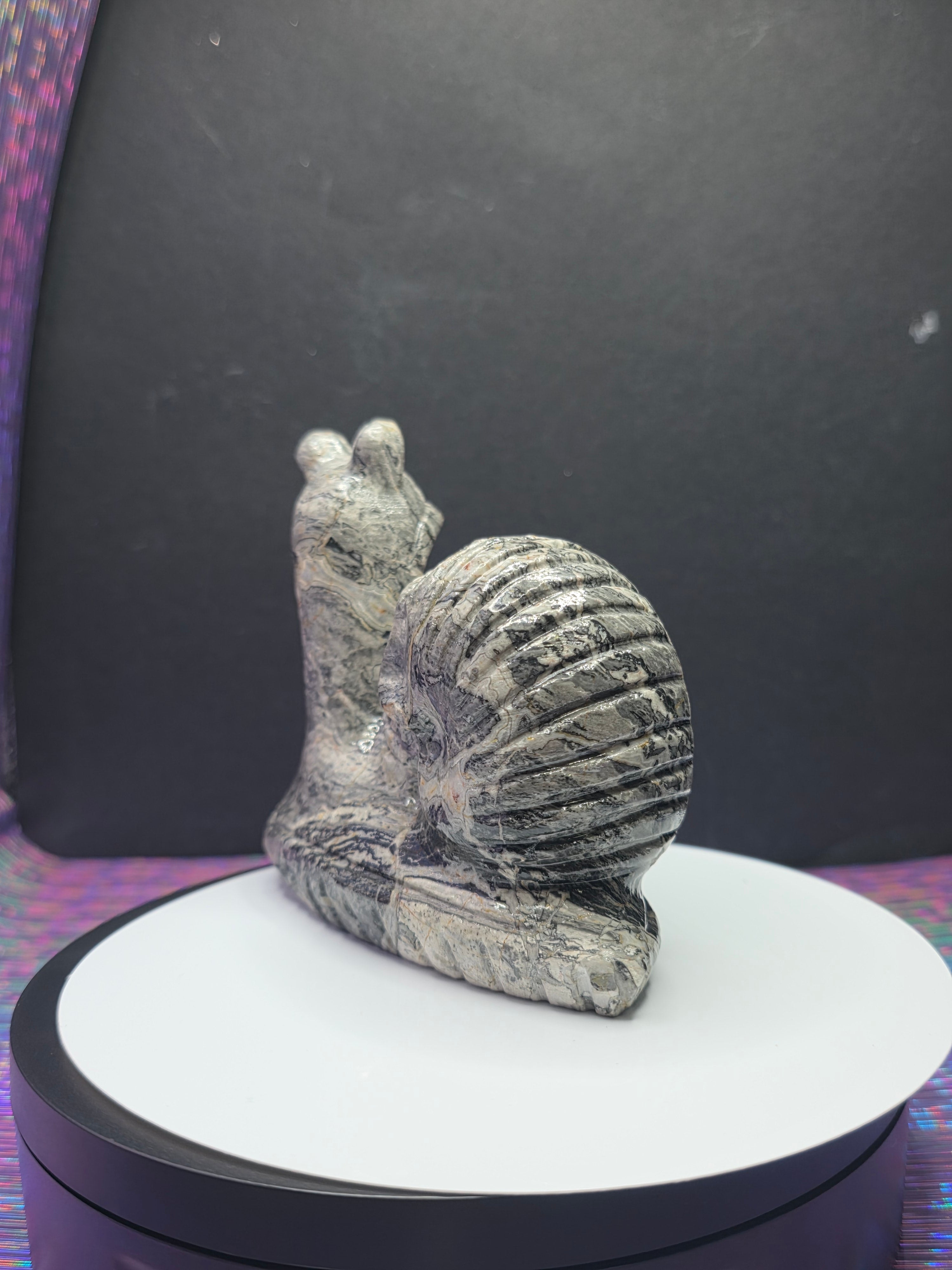 Picture Jasper Snail with Skull Shell