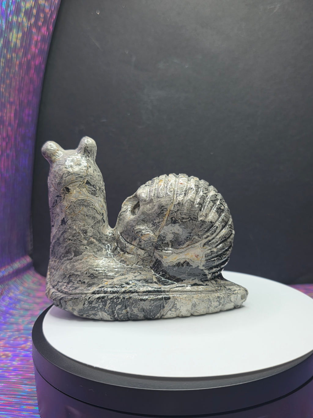Picture Jasper Snail with Skull Shell