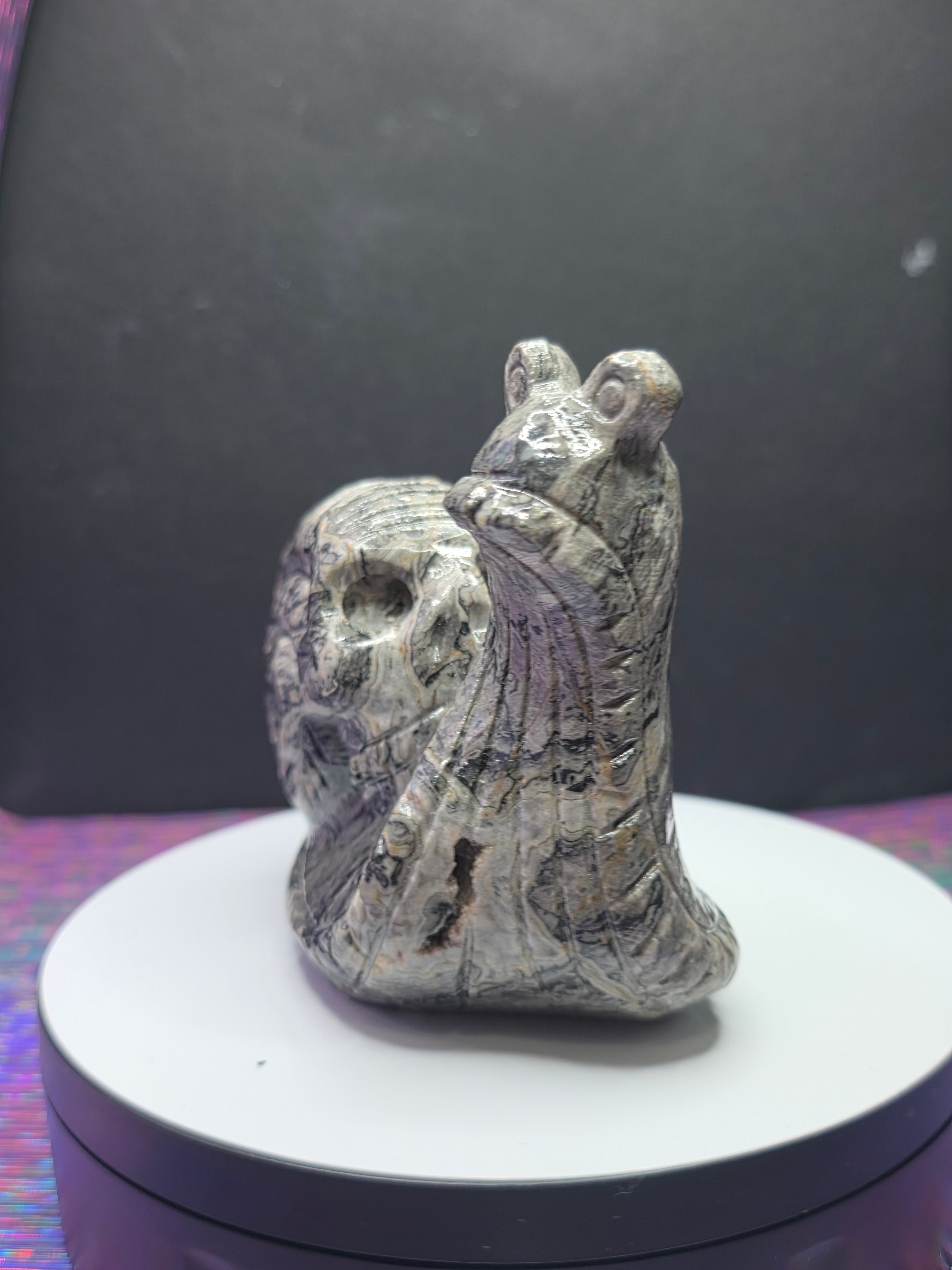 Picture Jasper Snail with Skull Shell