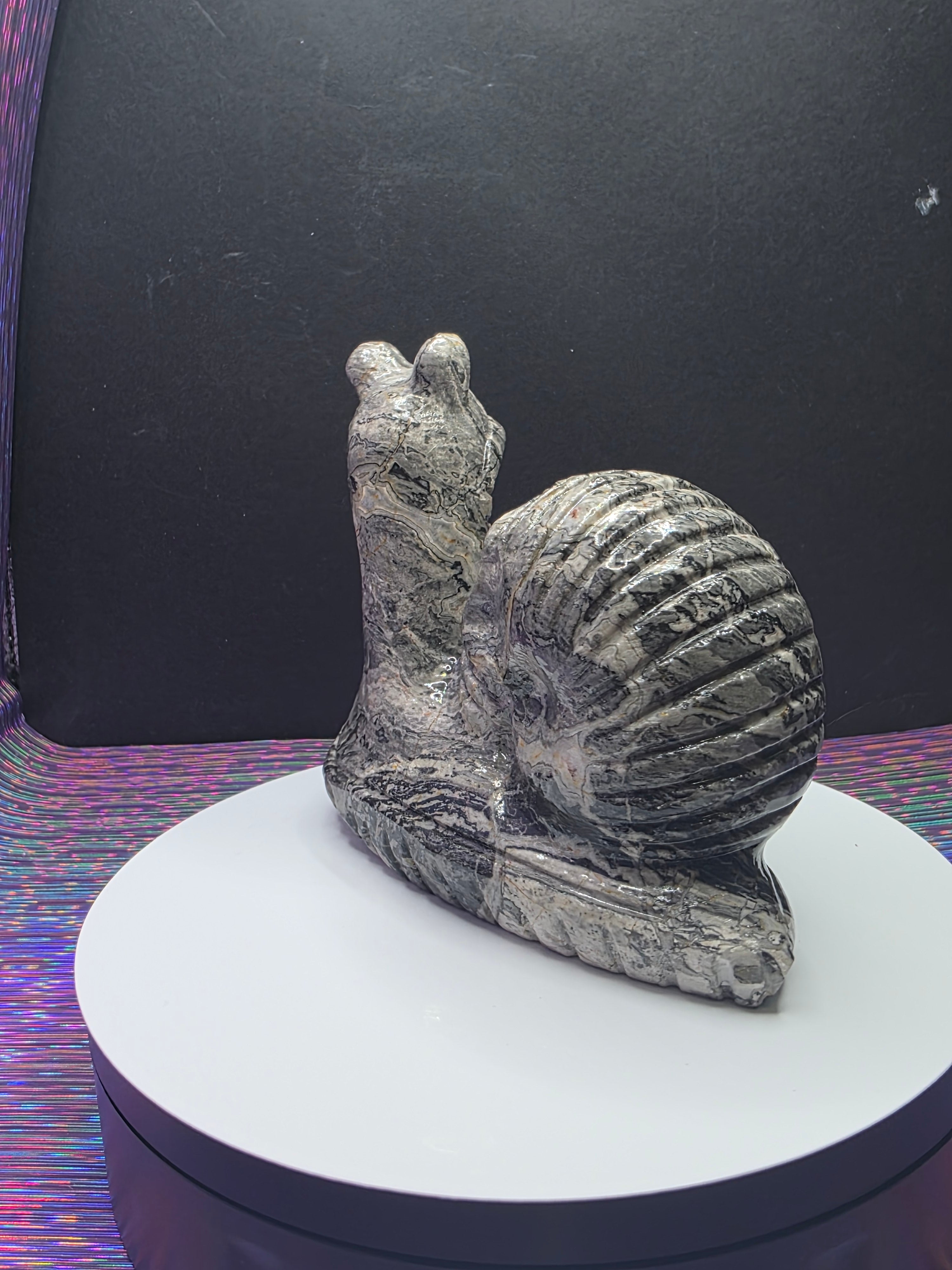 Picture Jasper Snail with Skull Shell