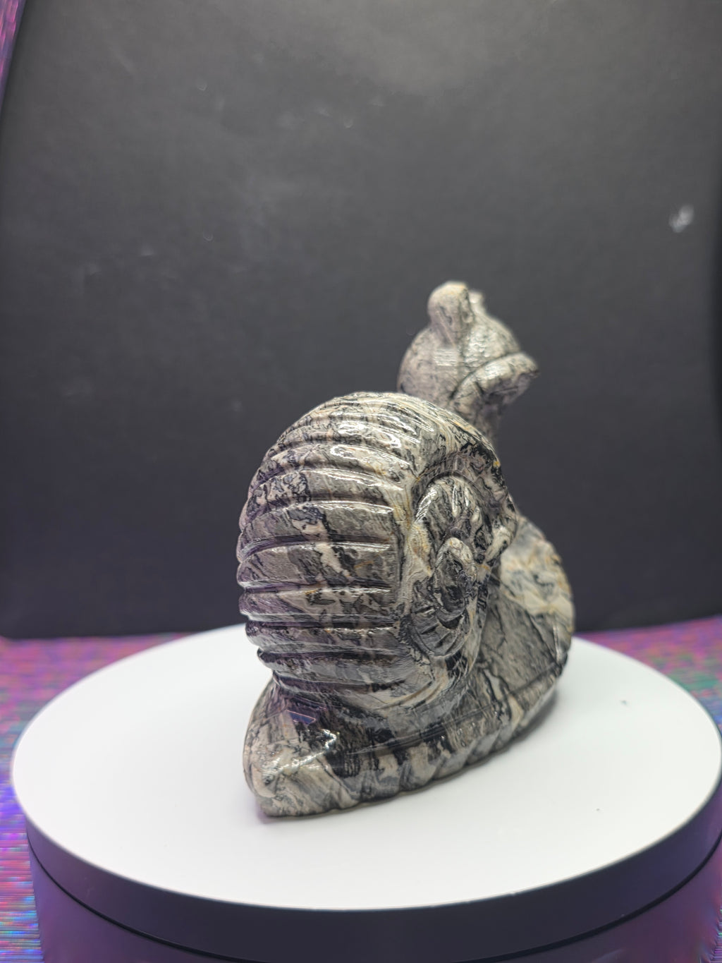 Picture Jasper Snail with Skull Shell