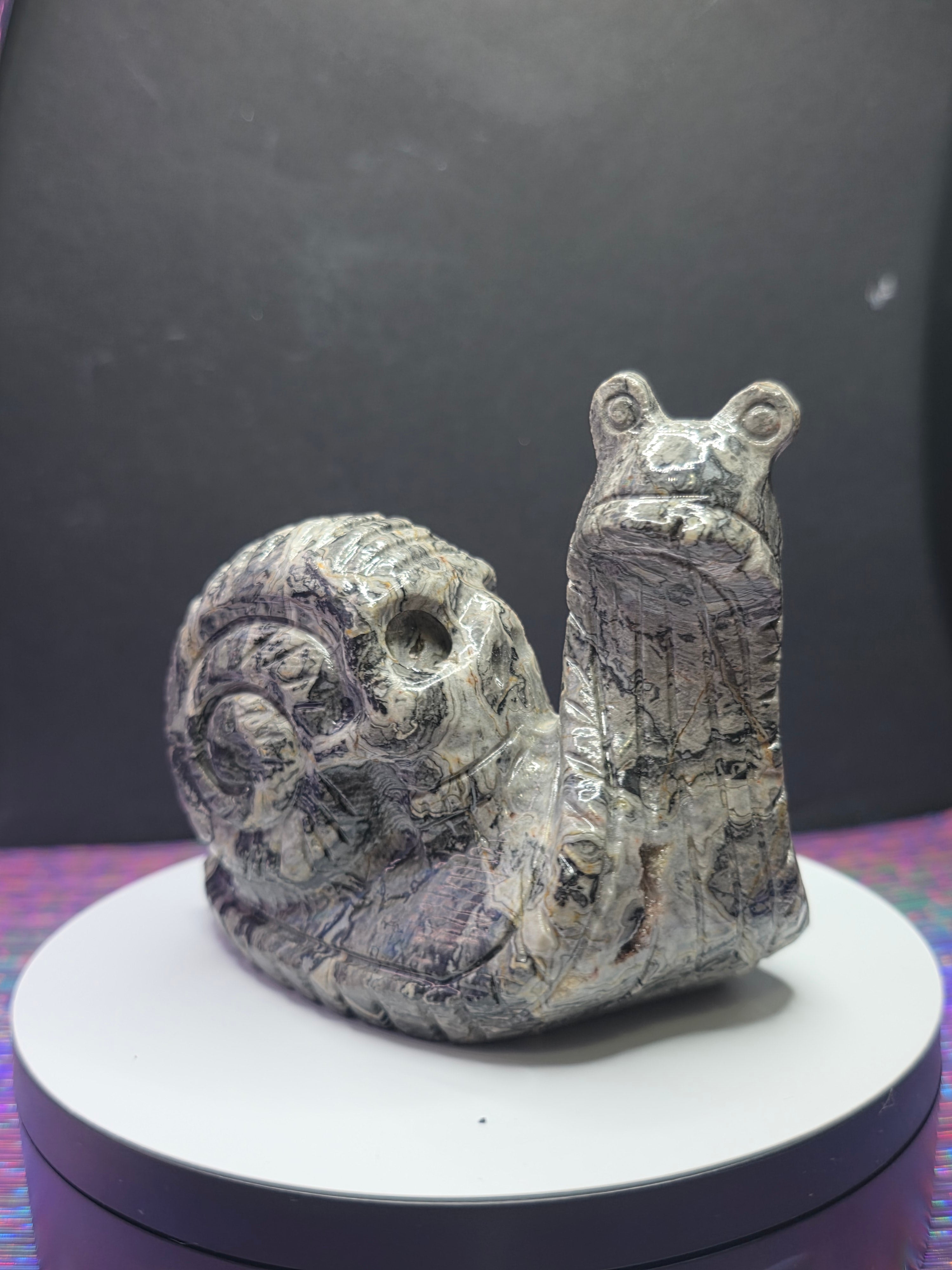 Picture Jasper Snail with Skull Shell