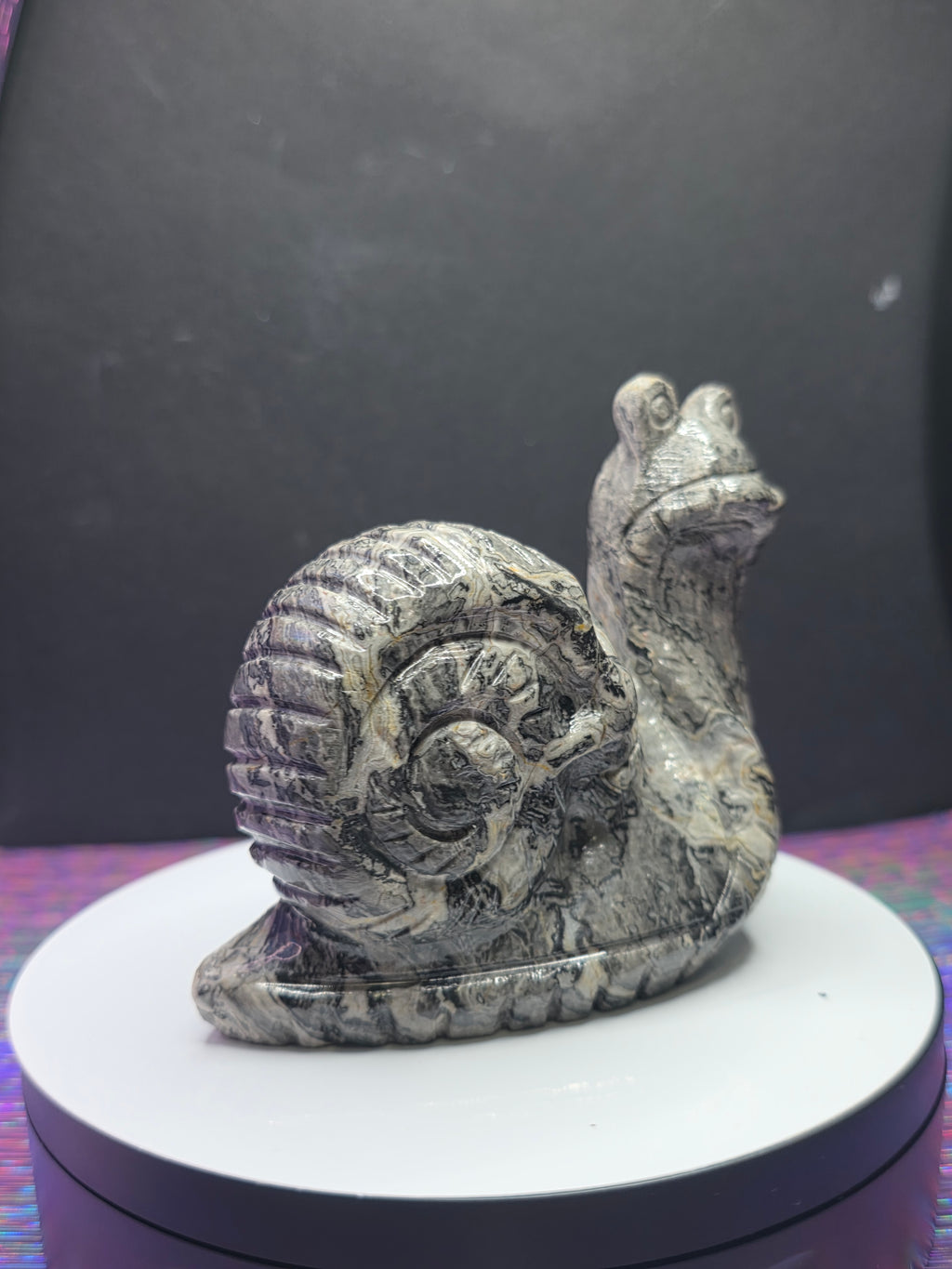 Picture Jasper Snail with Skull Shell