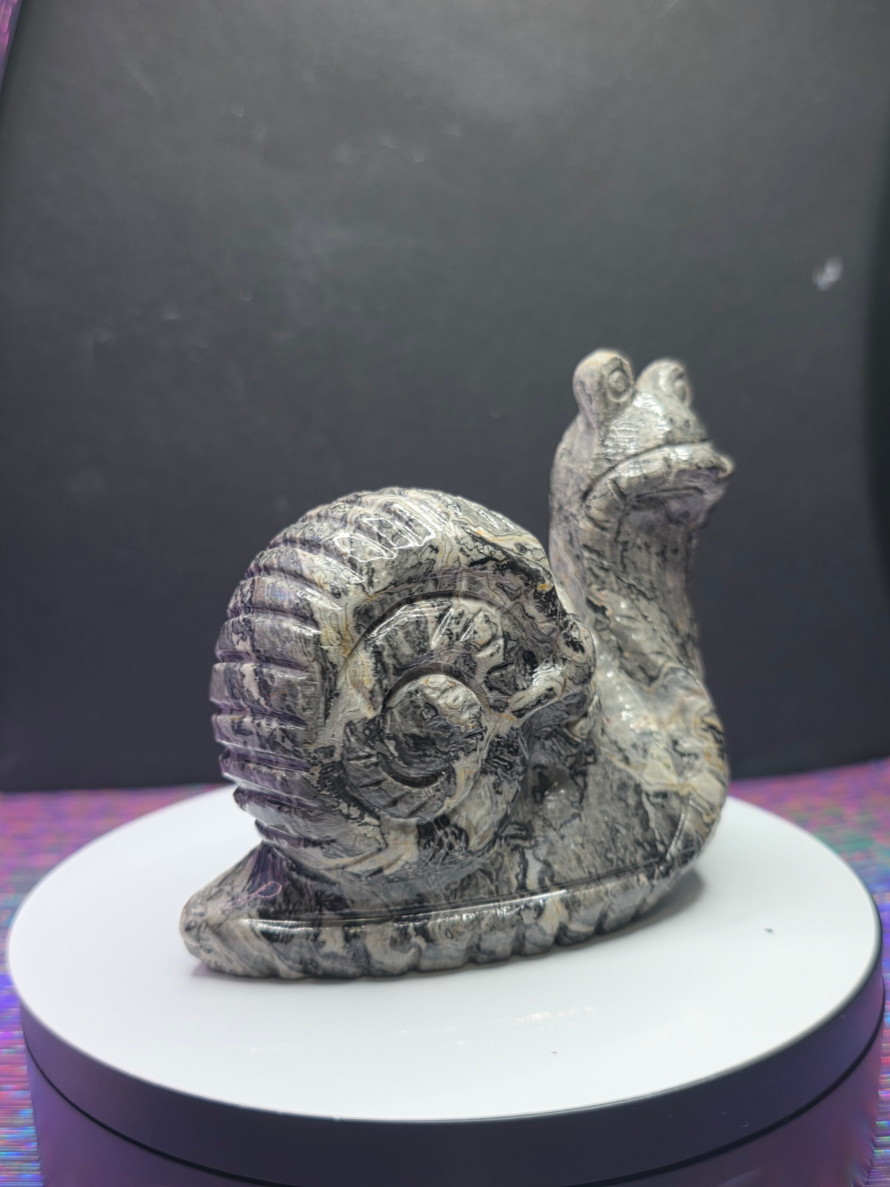 Picture Jasper Snail with Skull Shell