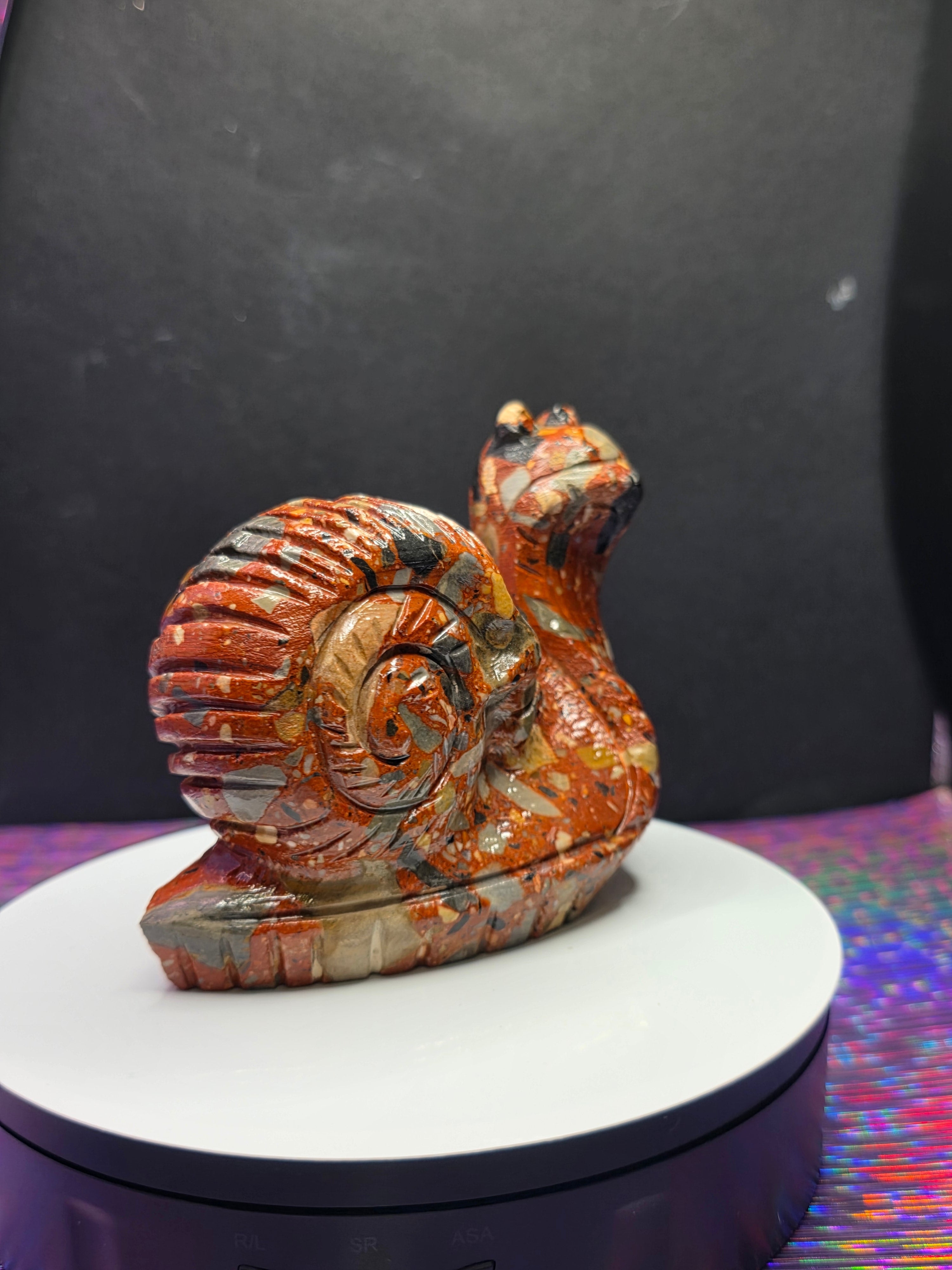 Fancy Jasper Snail with Skull Shell