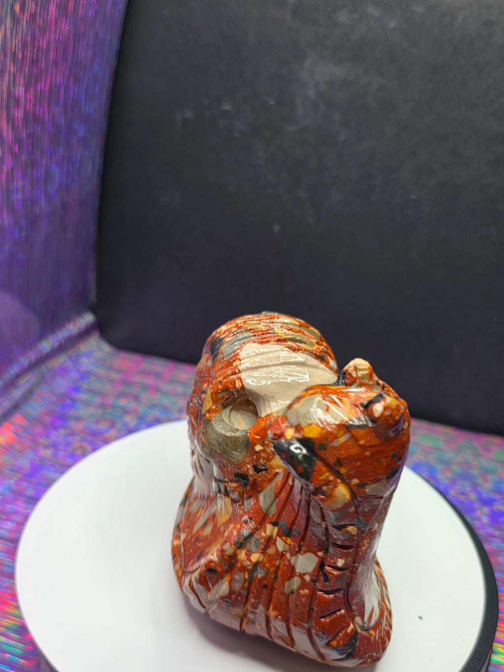 Fancy Jasper Snail with Skull Shell