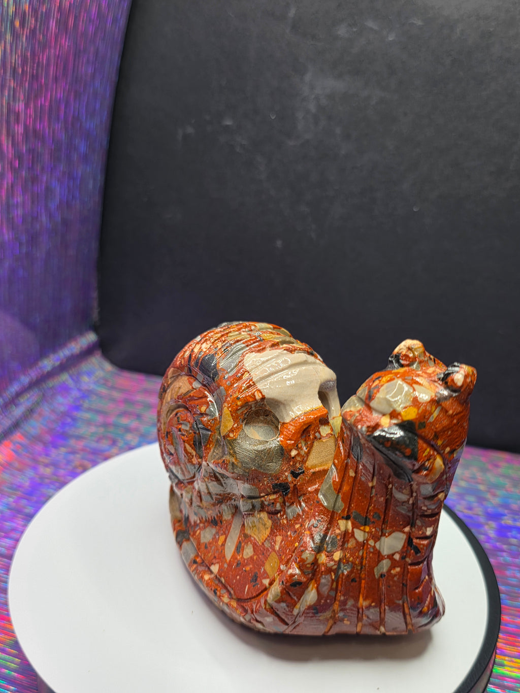 Fancy Jasper Snail with Skull Shell