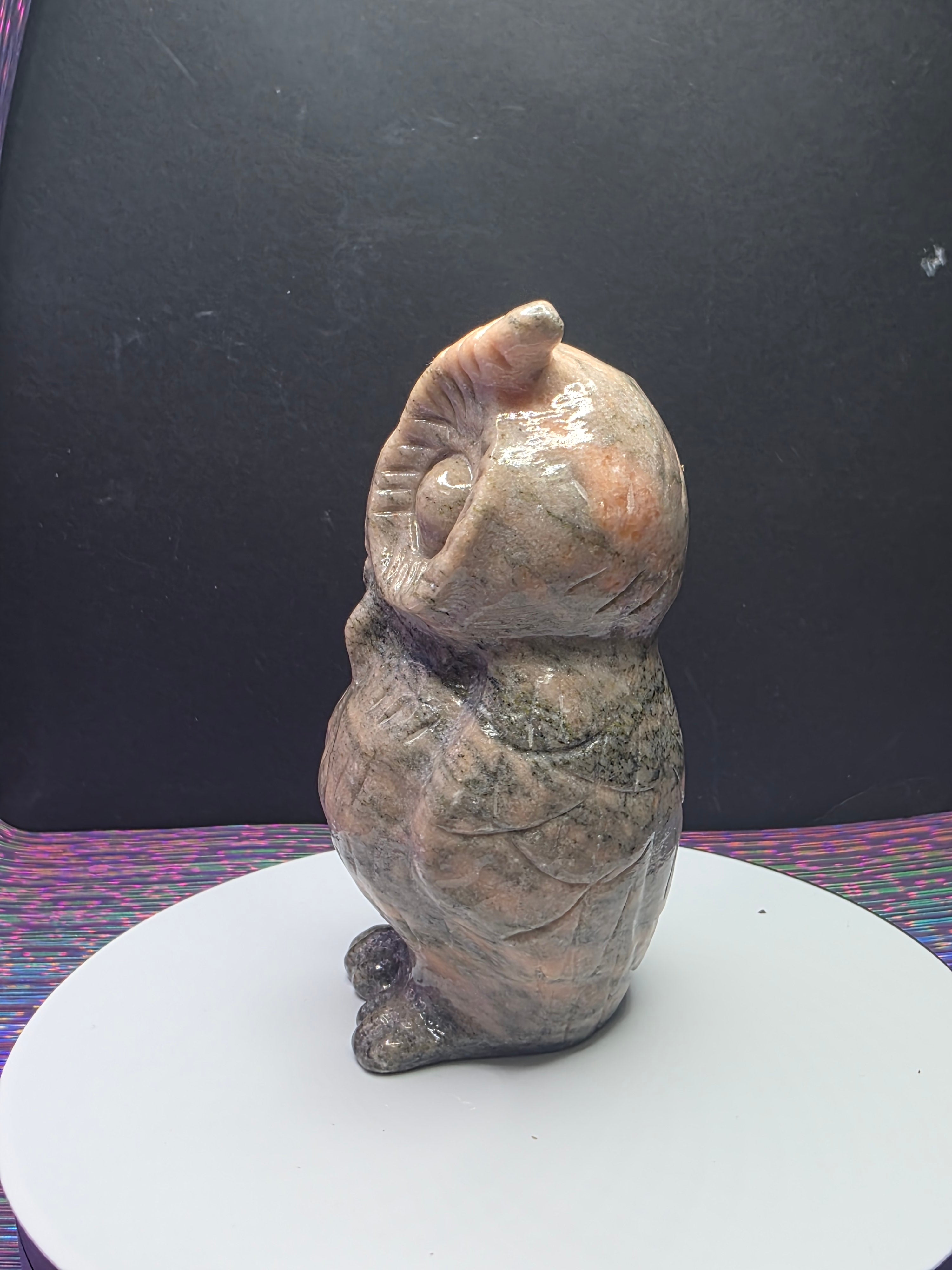 Pink Zebra Jasper Owl