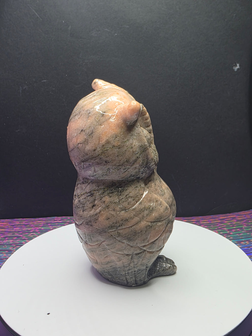 Pink Zebra Jasper Owl