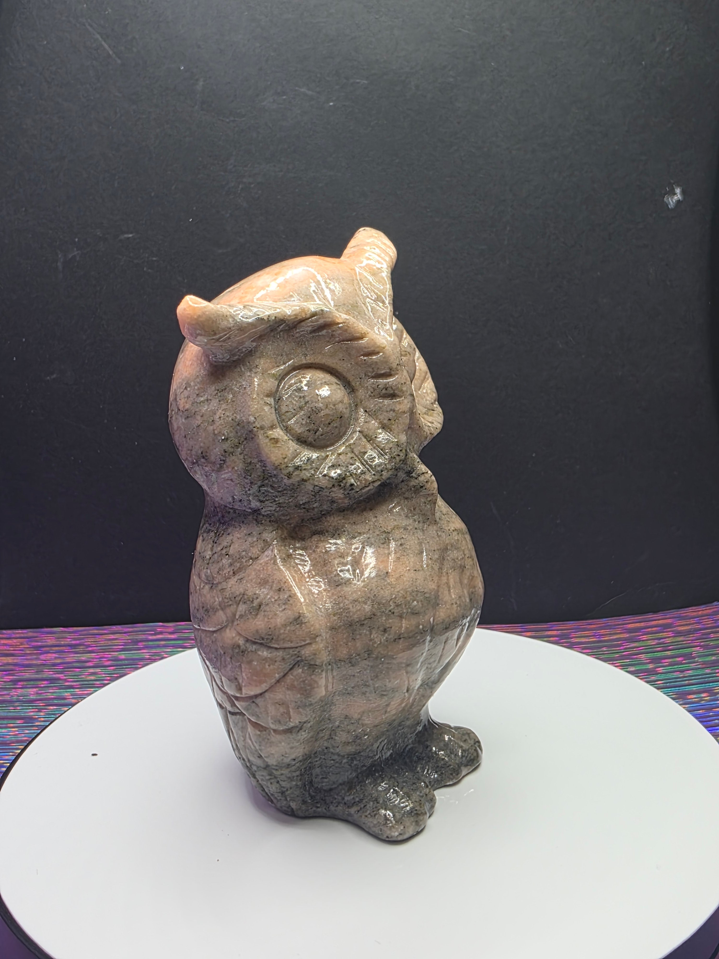 Pink Zebra Jasper Owl