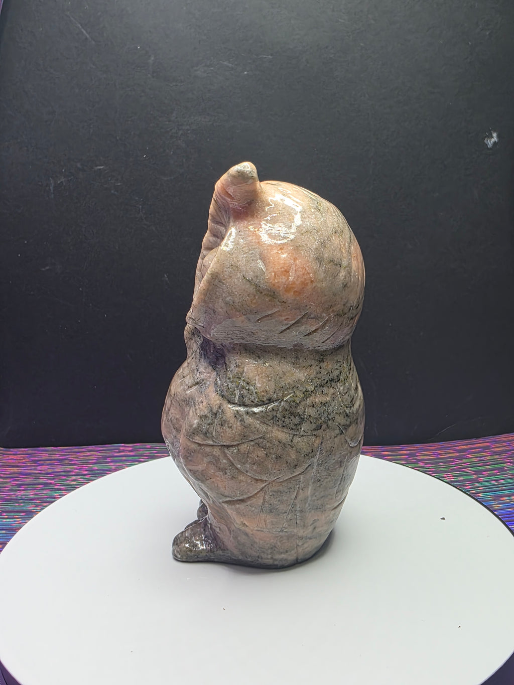 Pink Zebra Jasper Owl