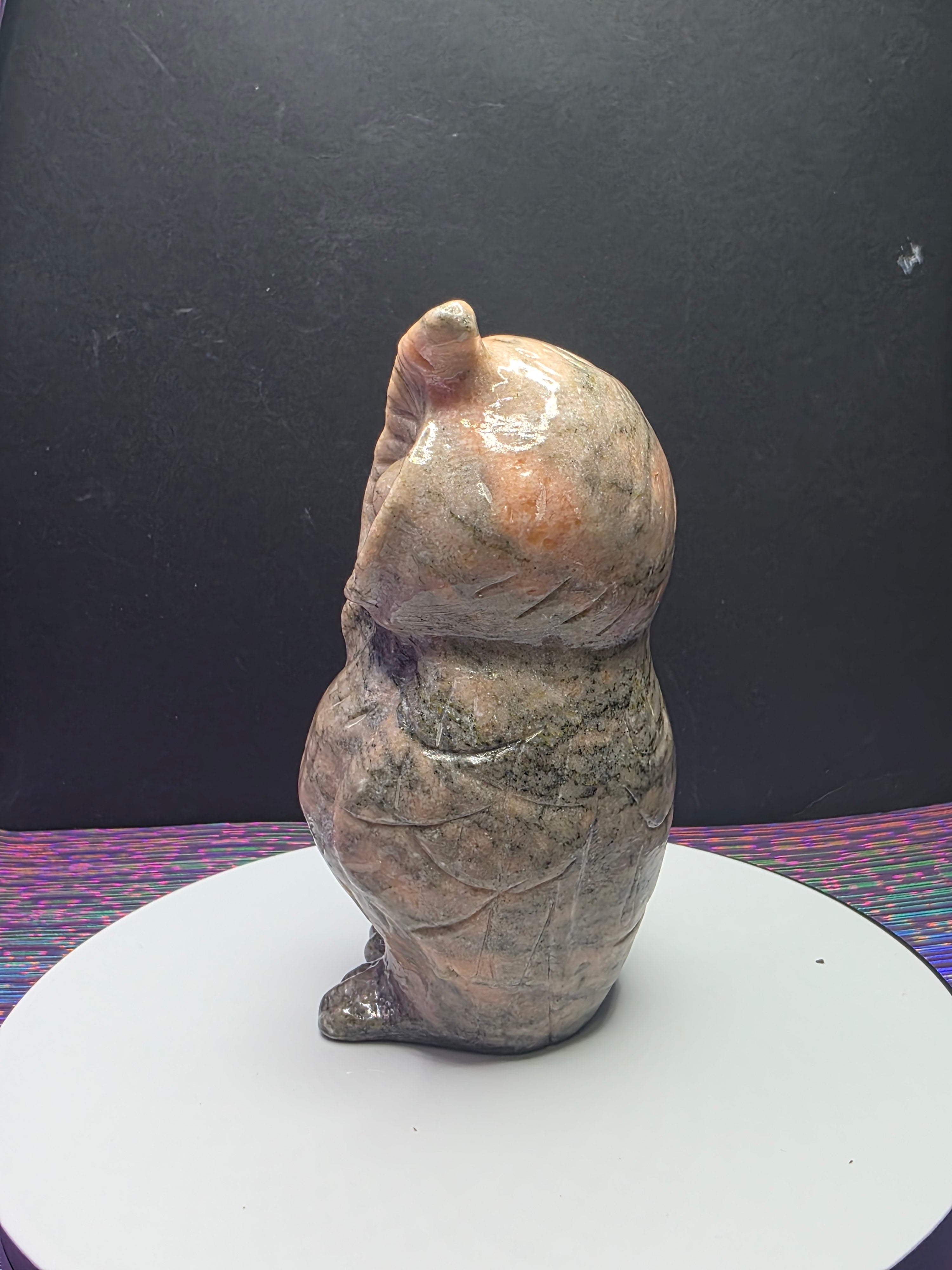 Pink Zebra Jasper Owl