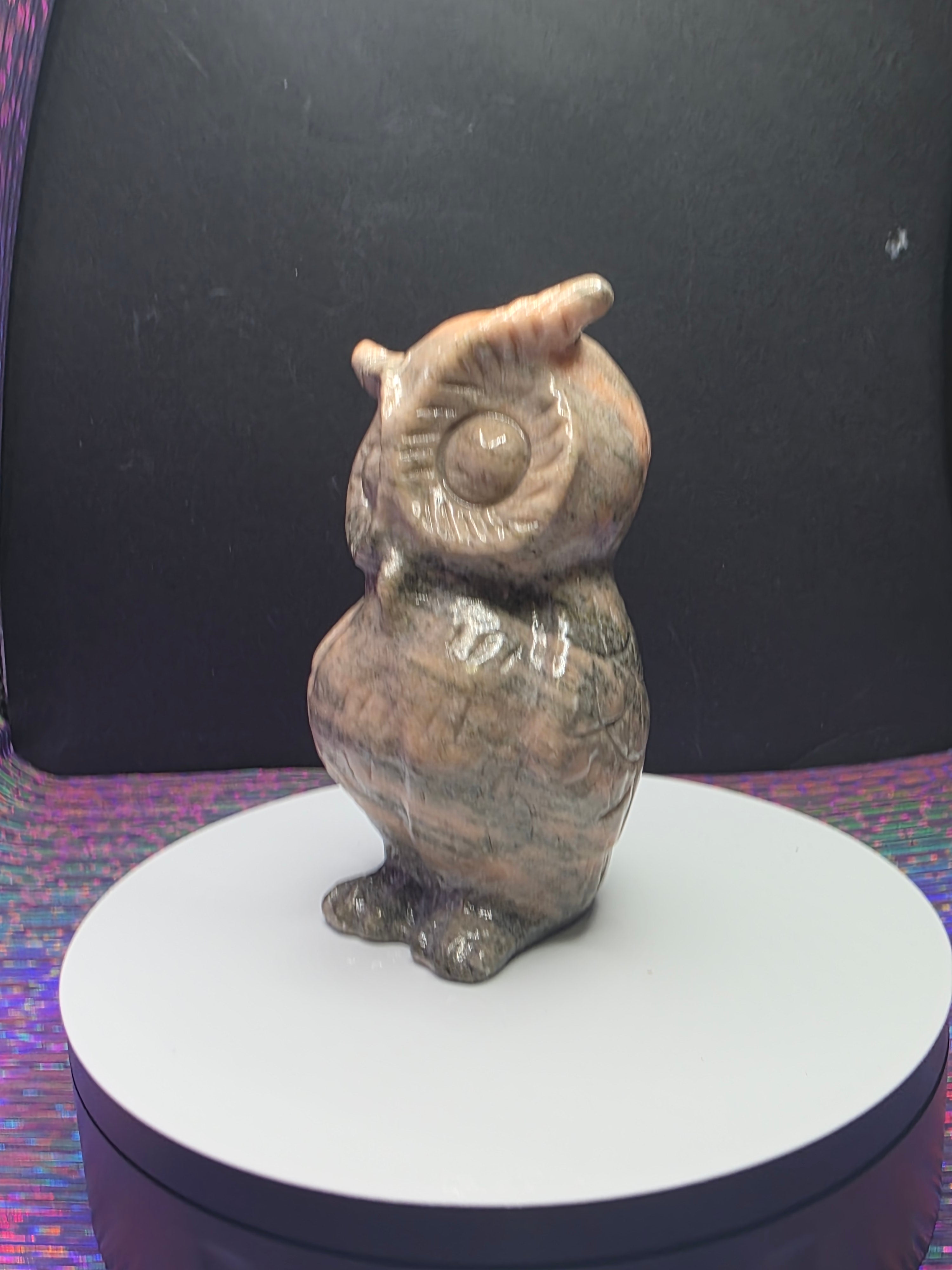 Pink Zebra Jasper Owl