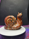 Fancy Jasper Snail with Skull Shell
