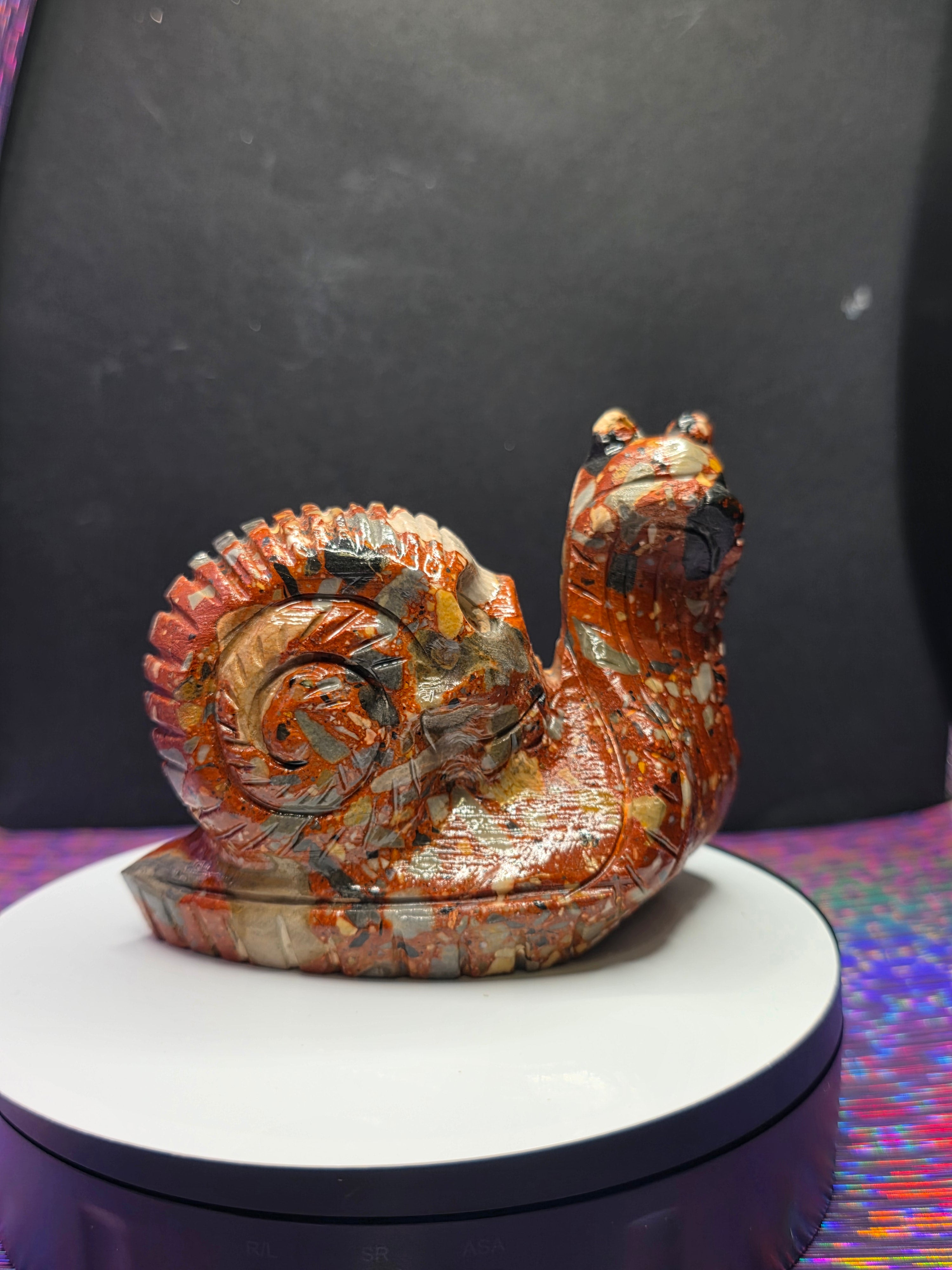 Fancy Jasper Snail with Skull Shell