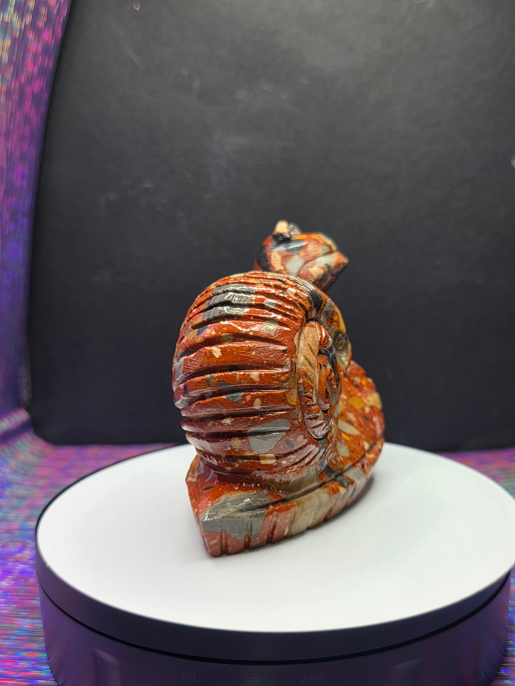 Fancy Jasper Snail with Skull Shell