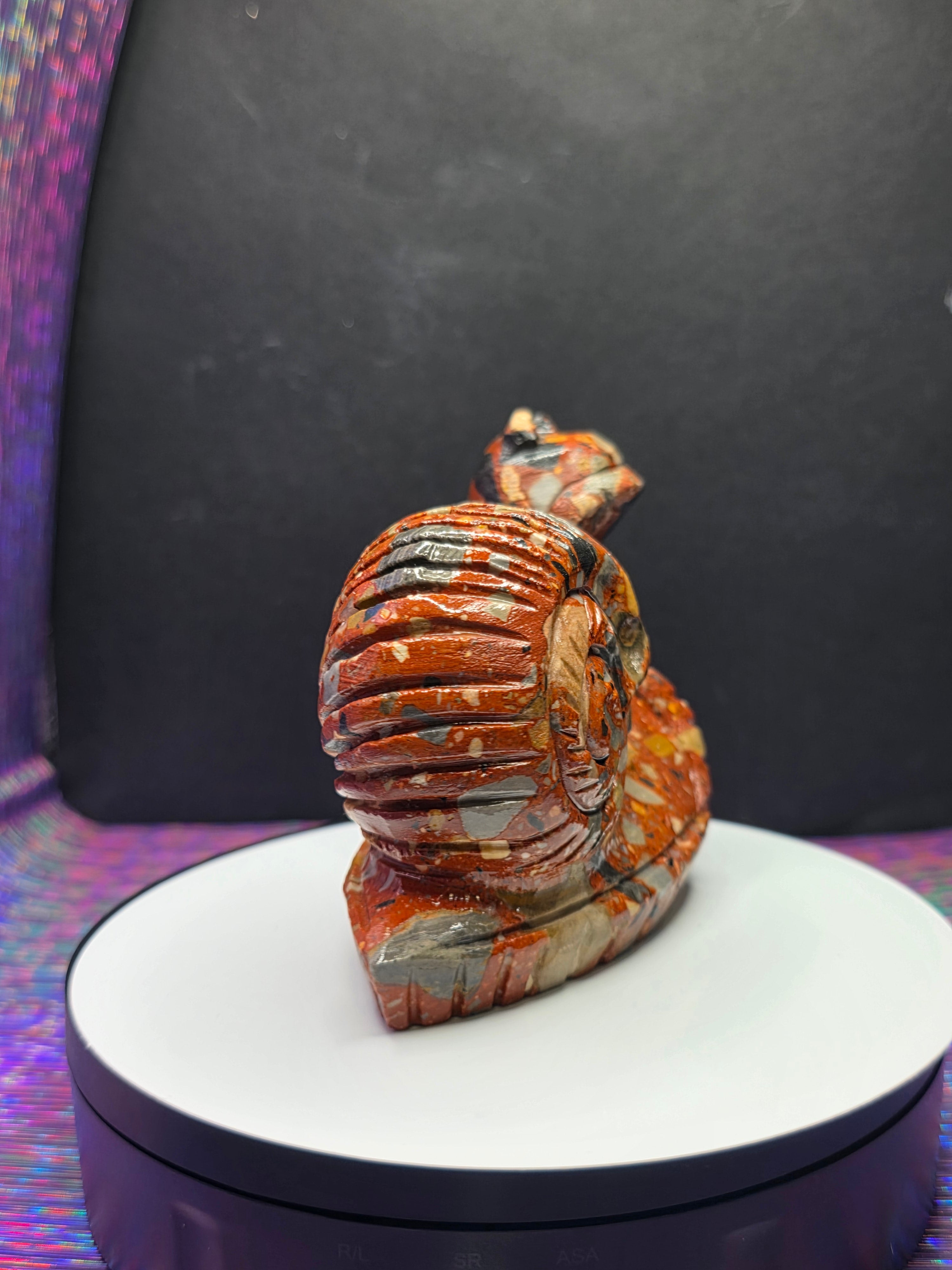 Fancy Jasper Snail with Skull Shell