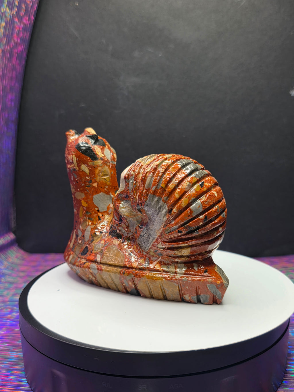 Fancy Jasper Snail with Skull Shell