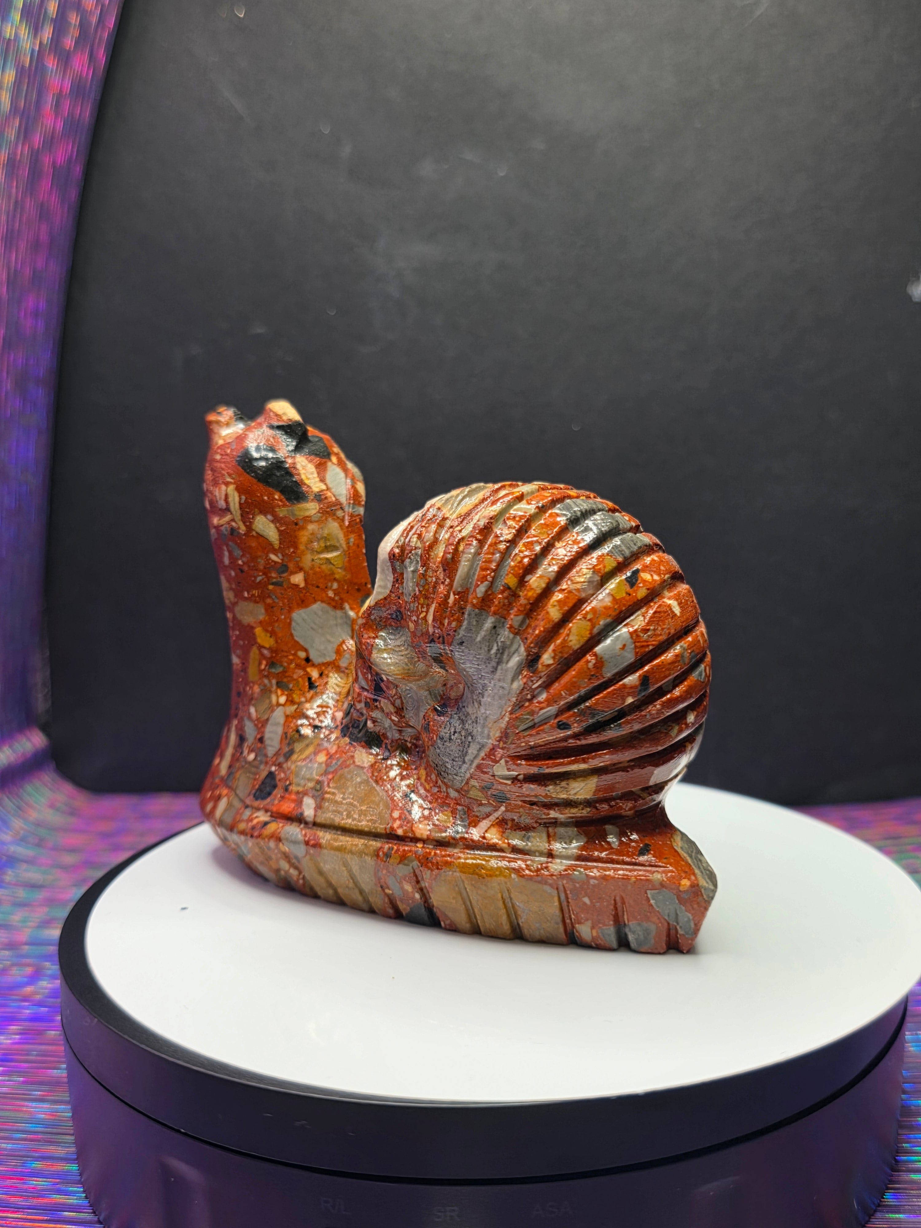 Fancy Jasper Snail with Skull Shell