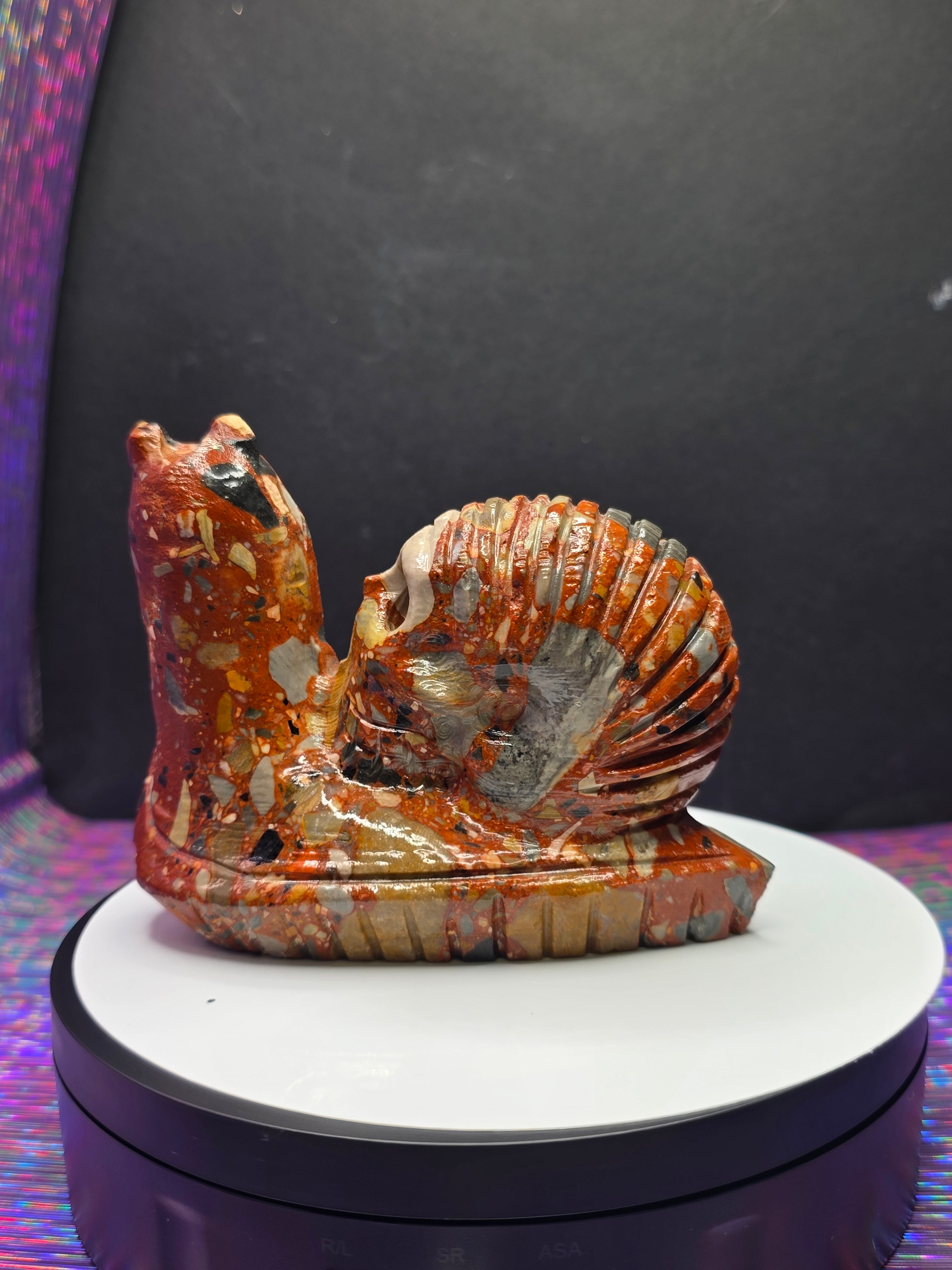 Fancy Jasper Snail with Skull Shell