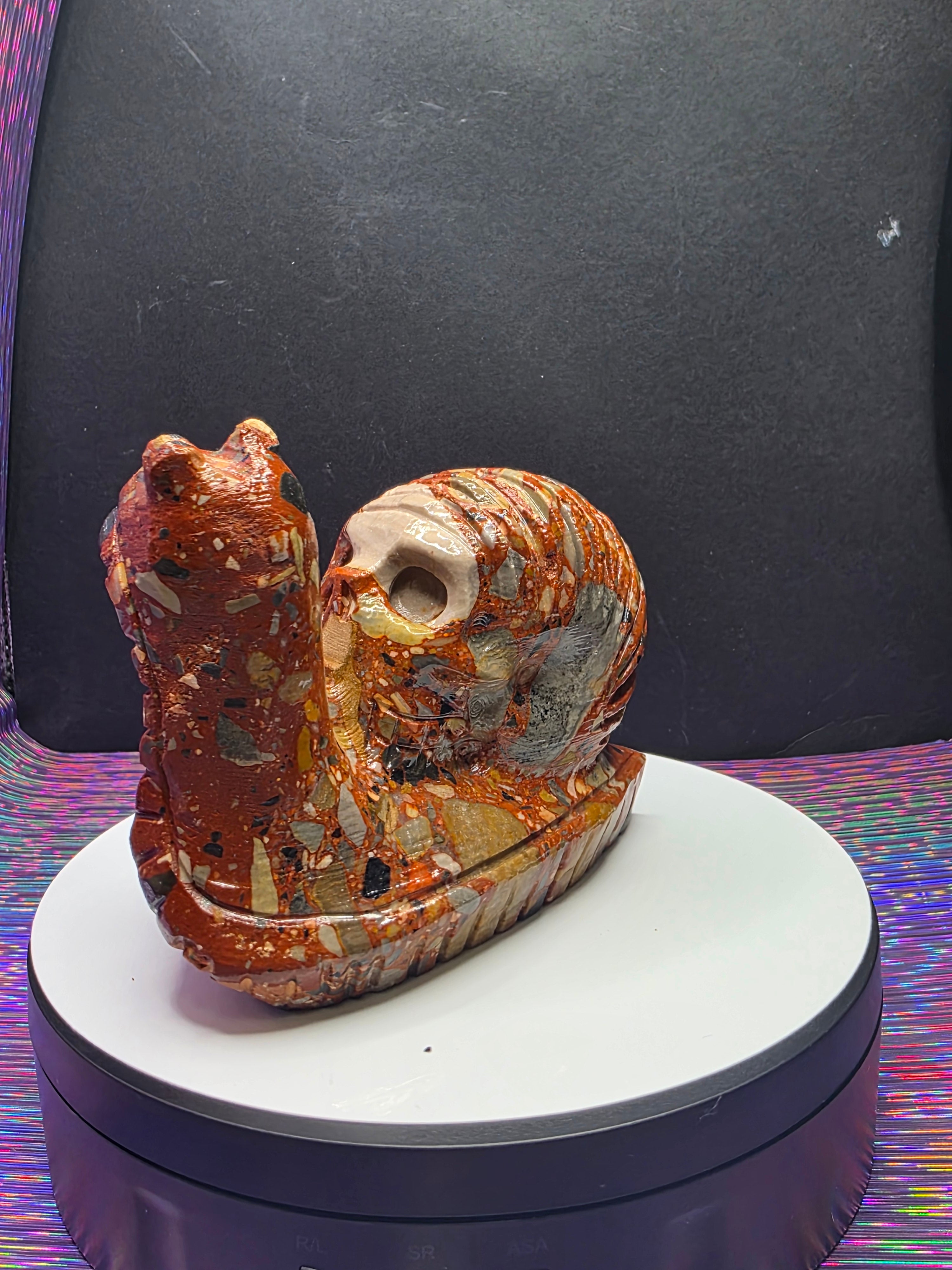 Fancy Jasper Snail with Skull Shell