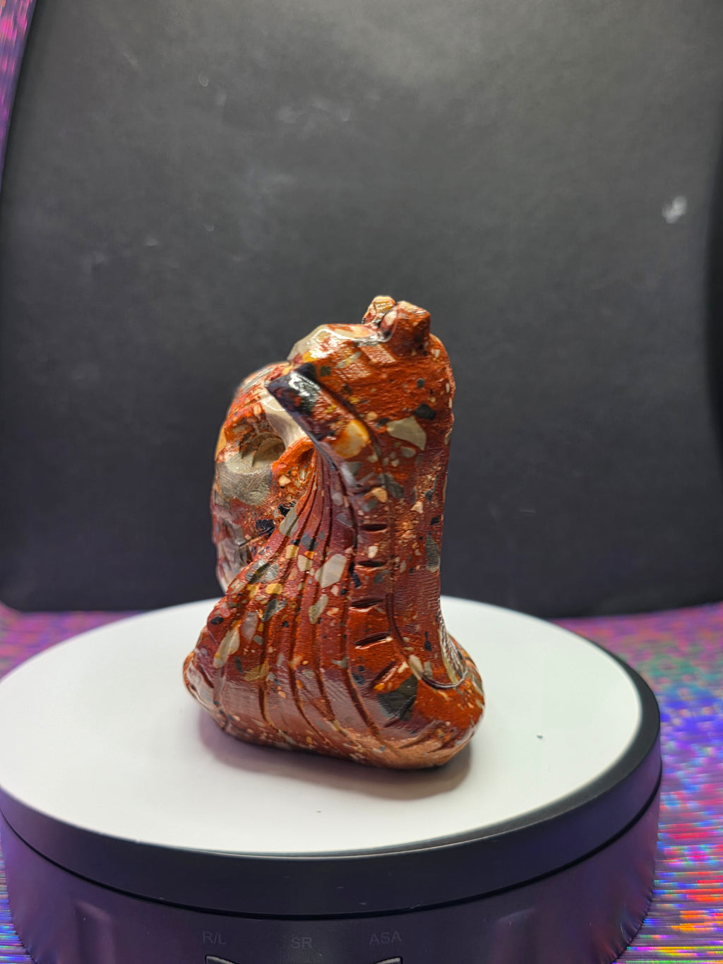 Fancy Jasper Snail with Skull Shell