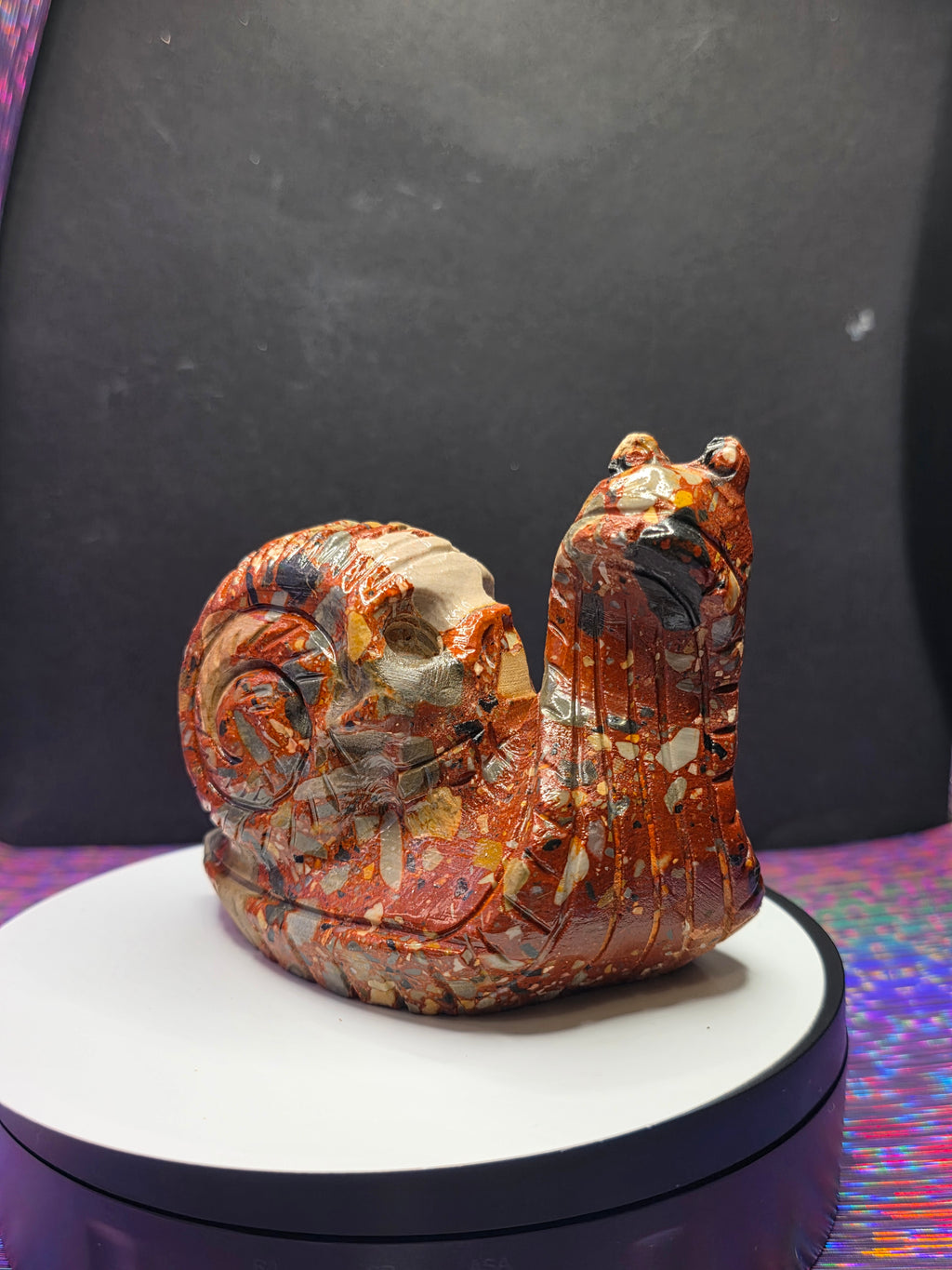 Fancy Jasper Snail with Skull Shell