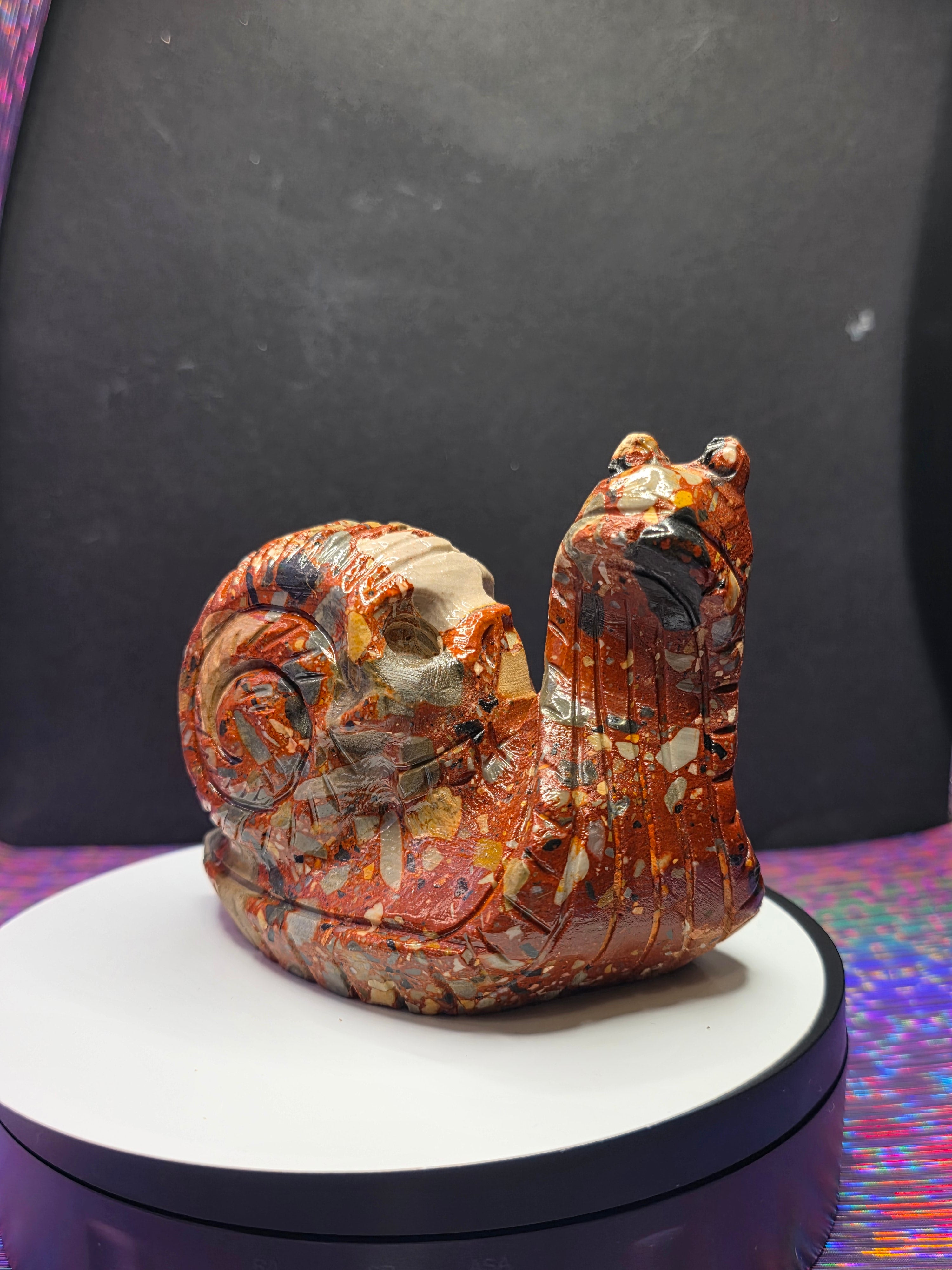 Fancy Jasper Snail with Skull Shell
