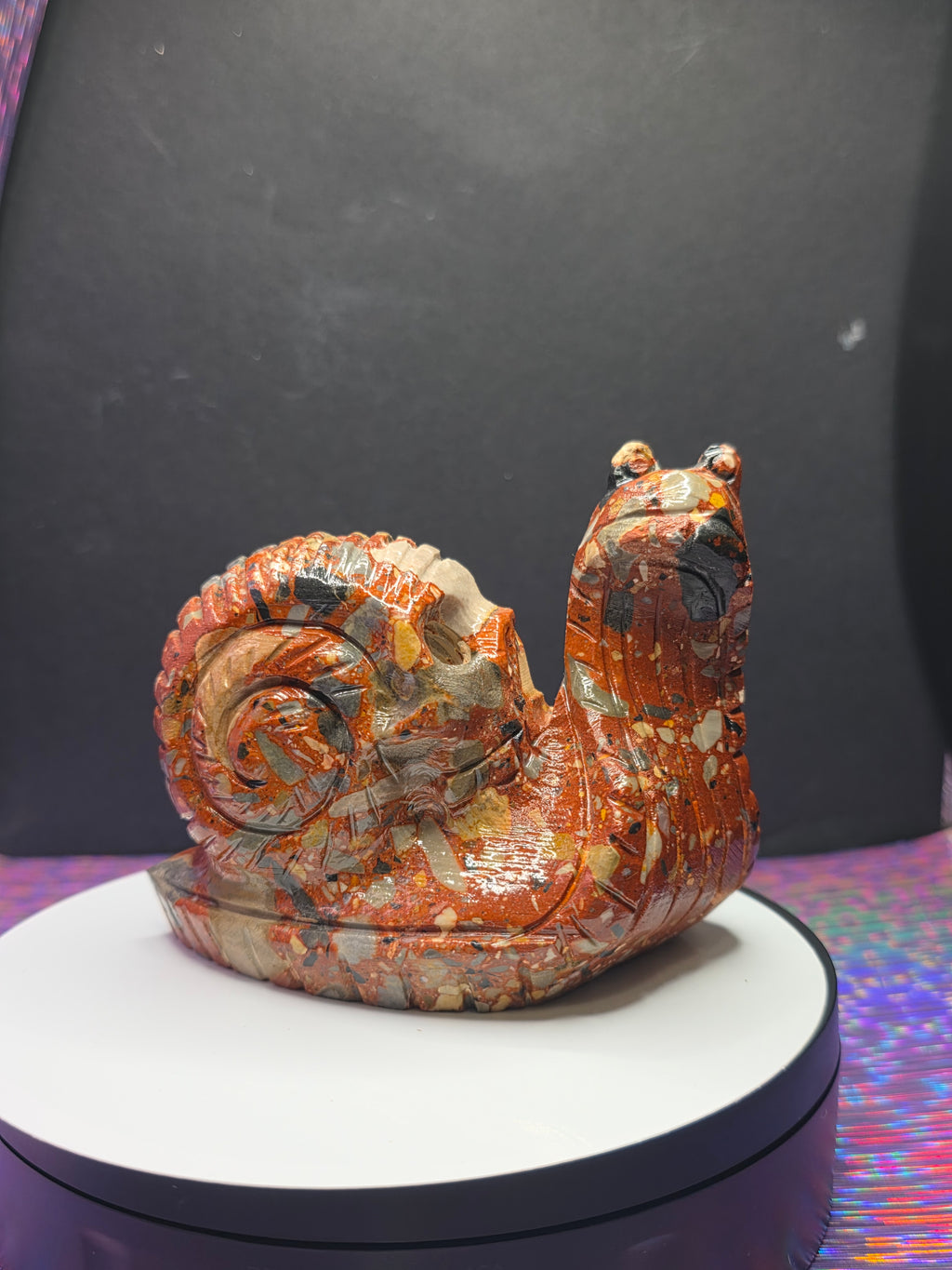 Fancy Jasper Snail with Skull Shell
