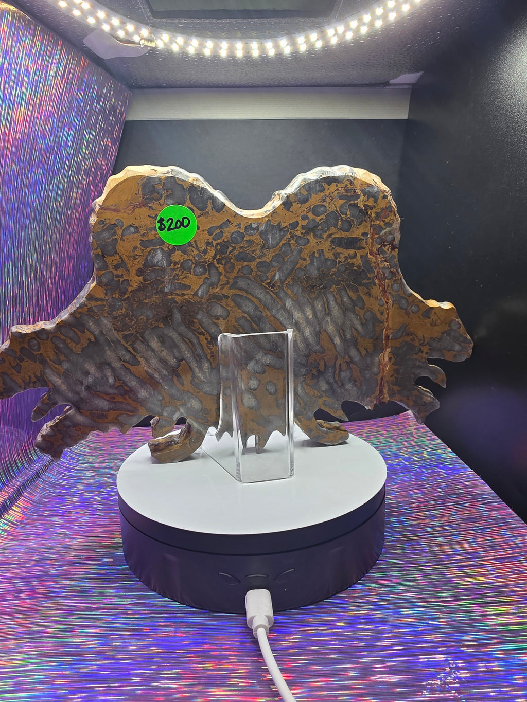 Leopard Skin Jasper Skull with Dragon Carving
