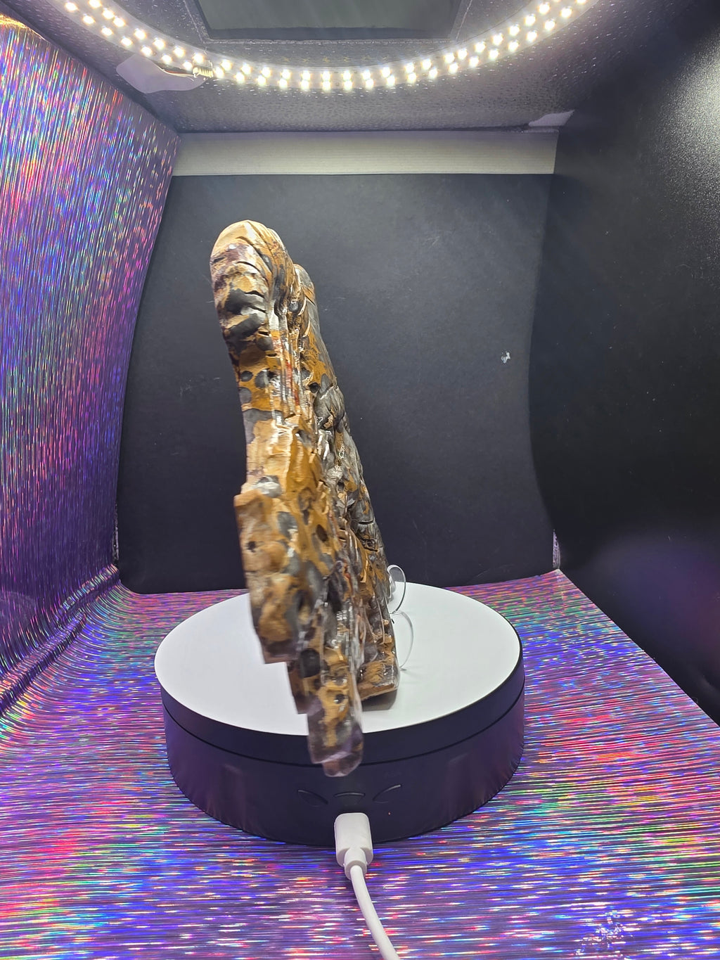 Leopard Skin Jasper Skull with Dragon Carving