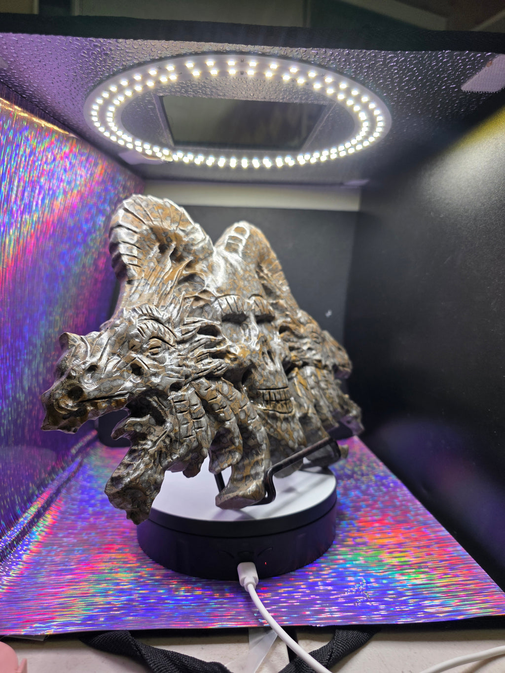 Leopard Skin Jasper Skull with Dragon Carving