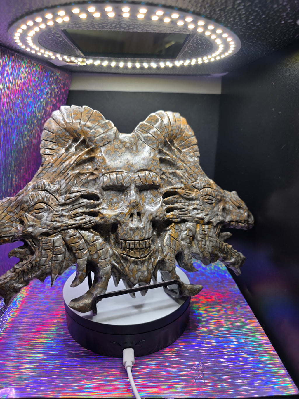 Leopard Skin Jasper Skull with Dragon Carving