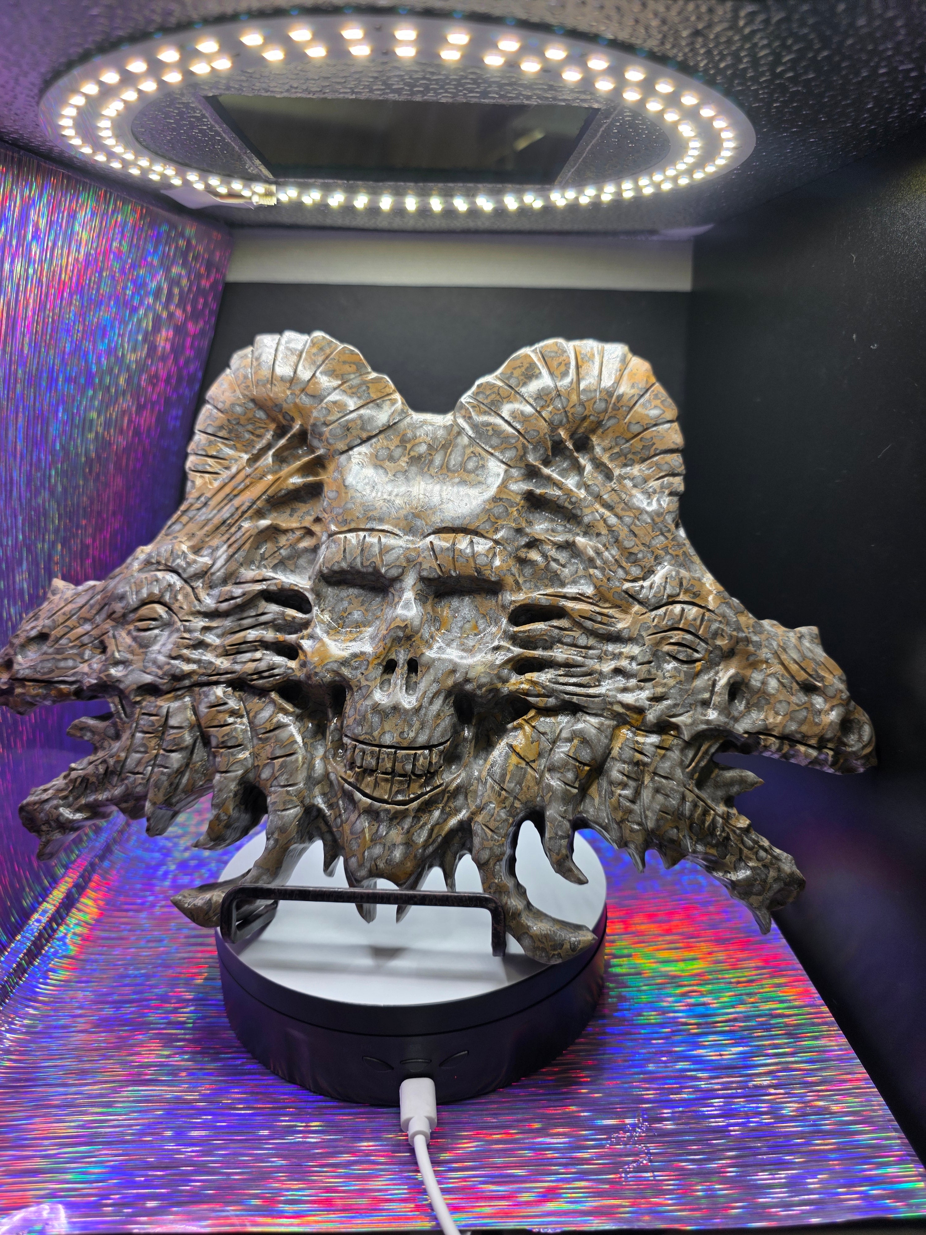 Leopard Skin Jasper Skull with Dragon Carving