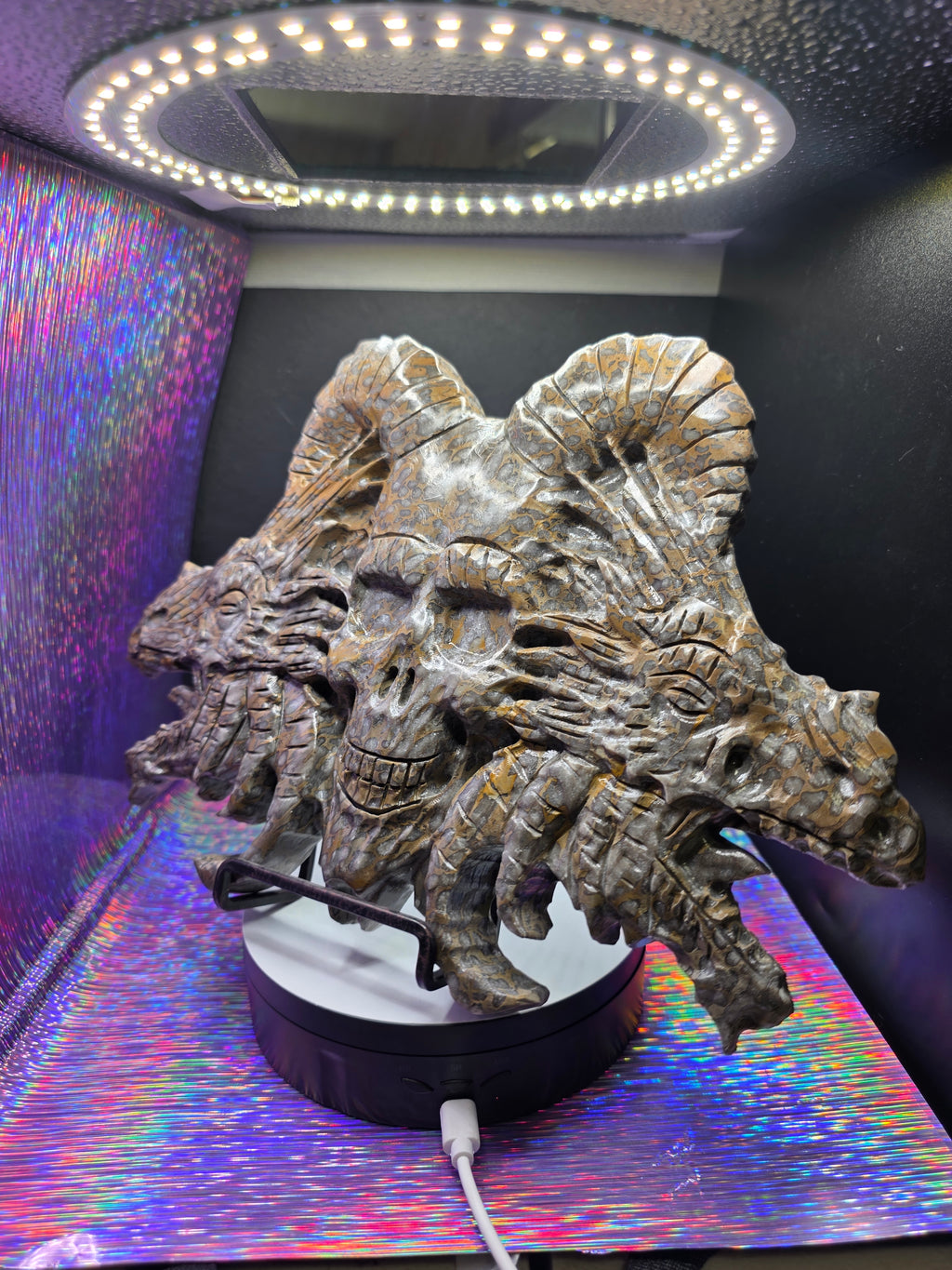 Leopard Skin Jasper Skull with Dragon Carving