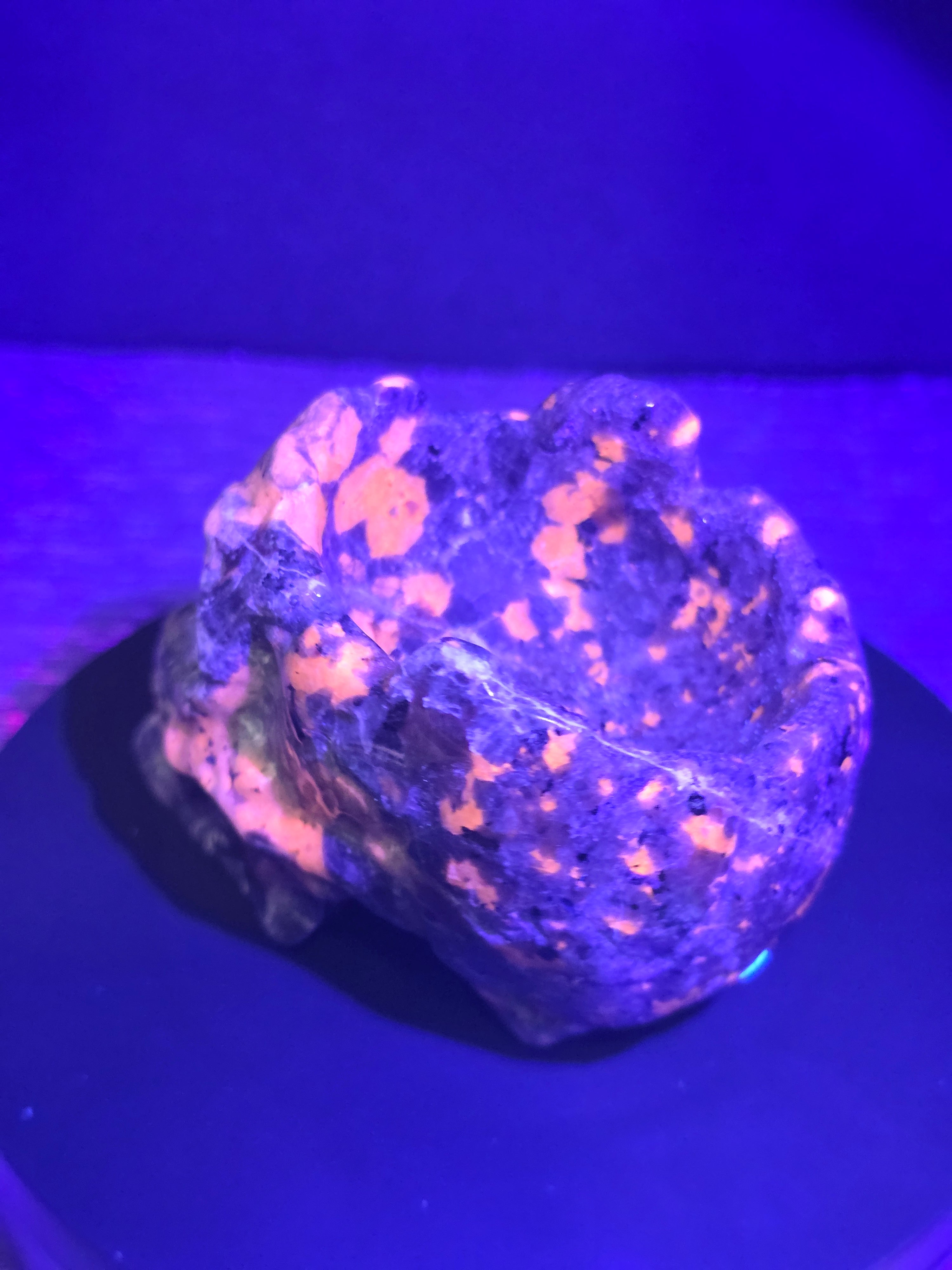 Yooperlite Skull Bowl