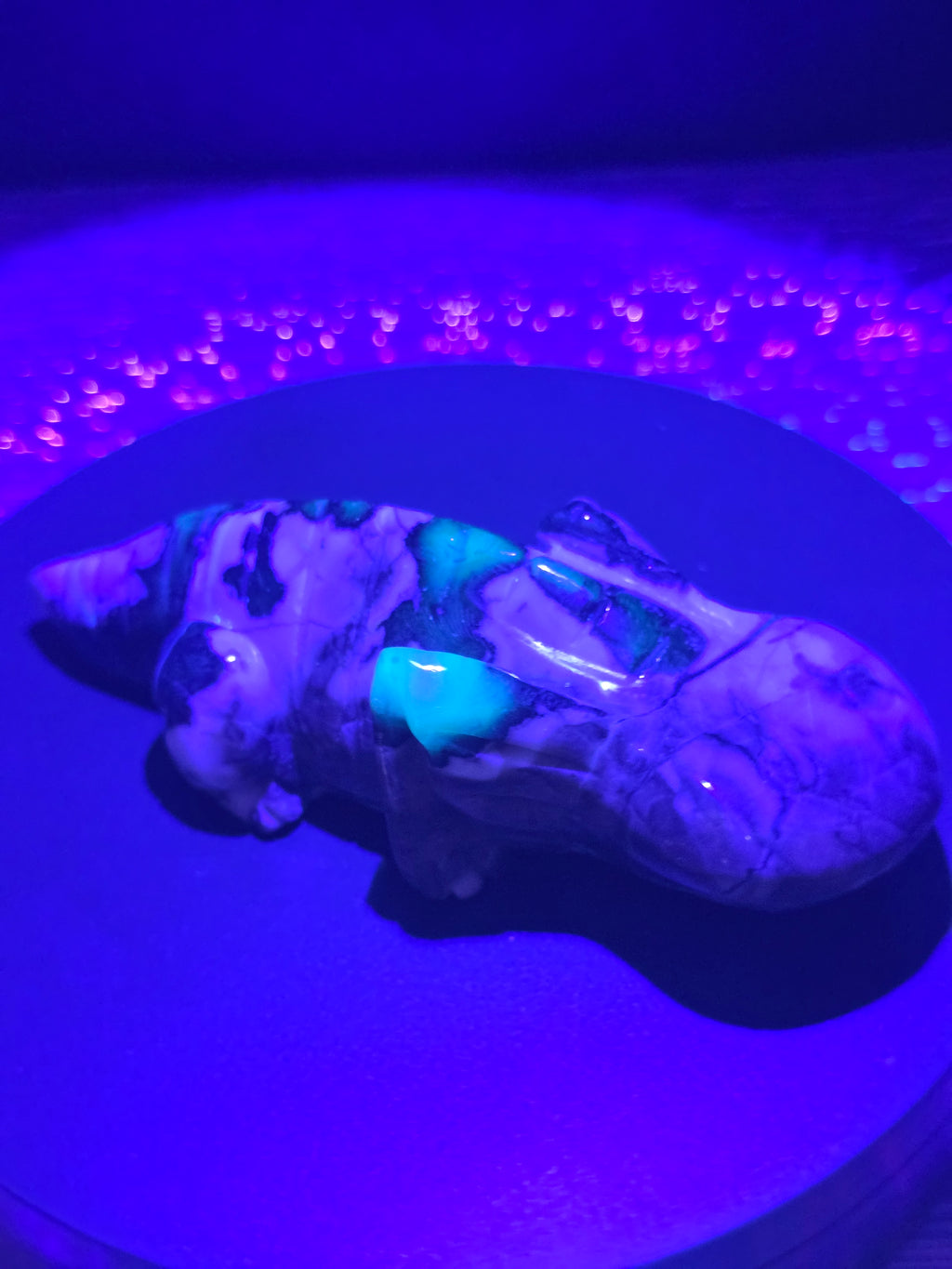 Volcano Agate Axolotl Carving A